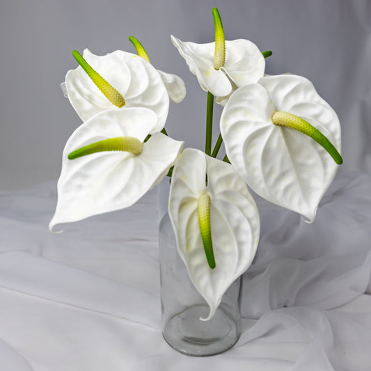Anthurium Small White - Realistic Artificial Flowers