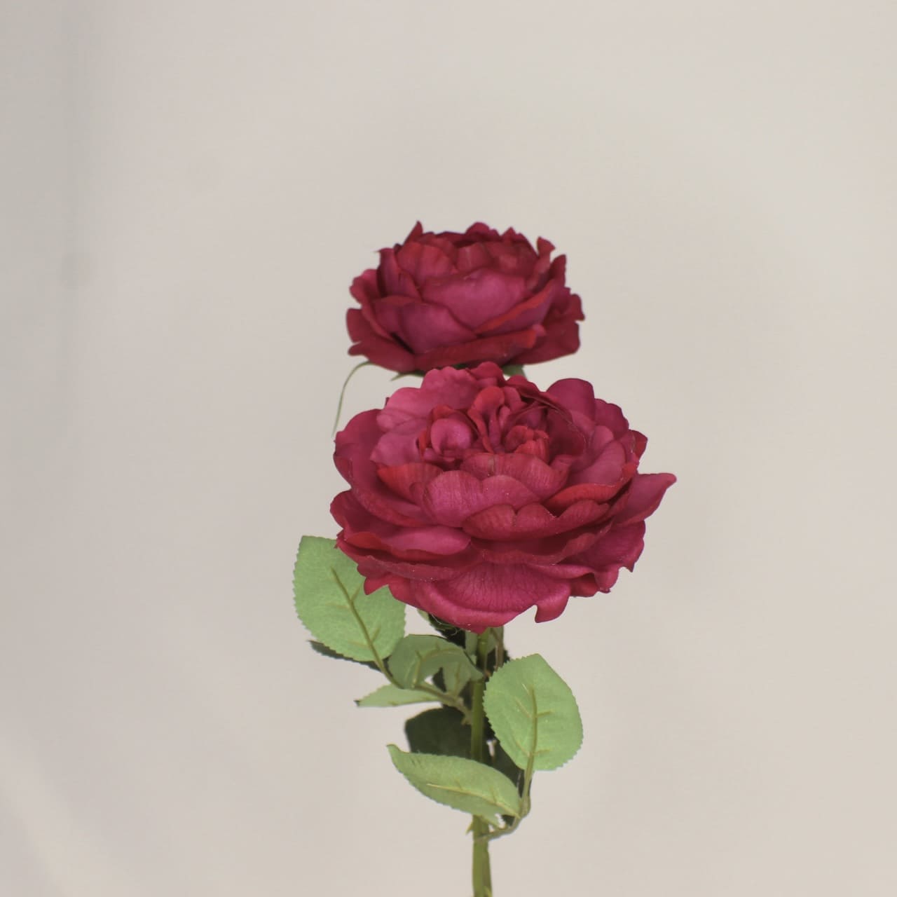 artificial cranberry david Austin roses