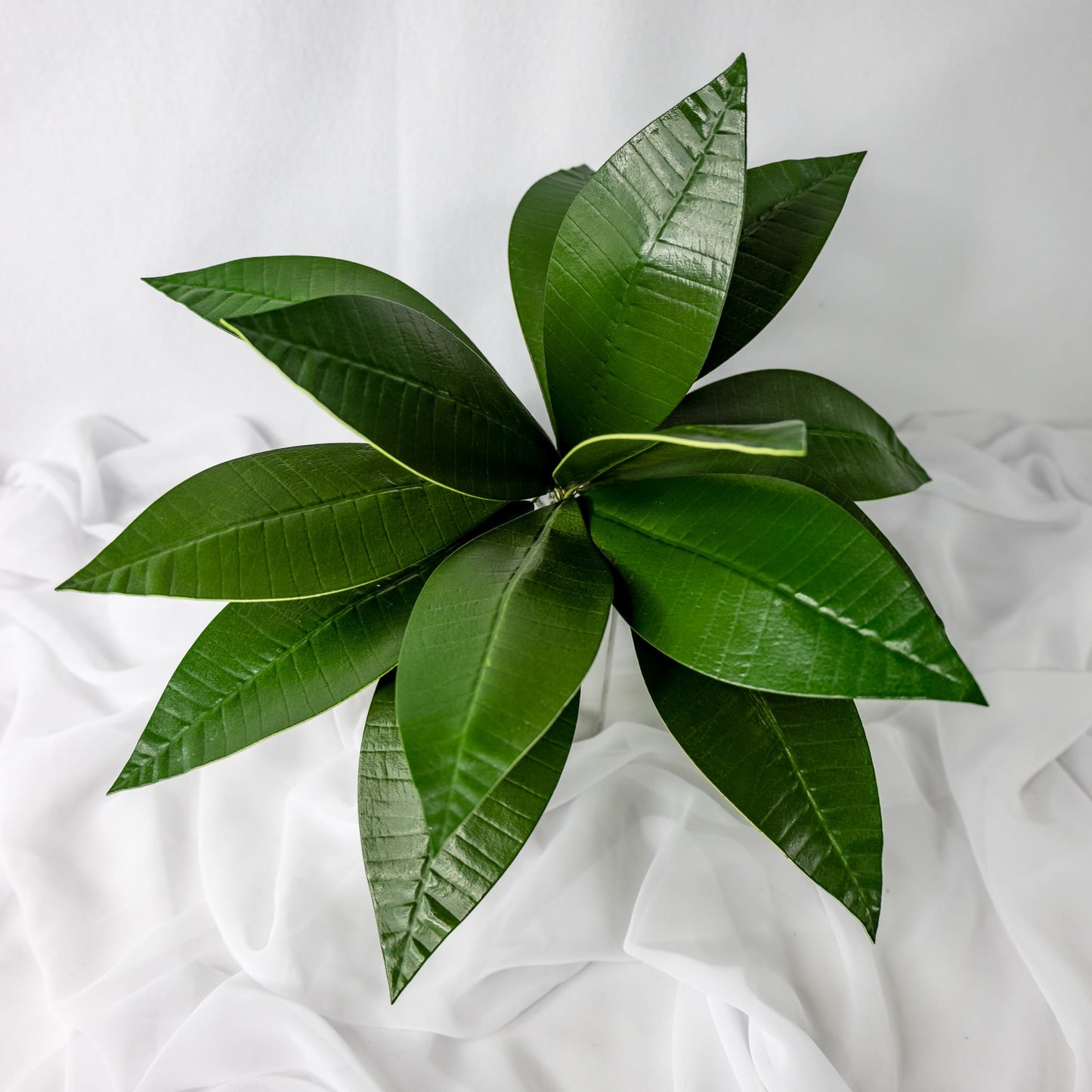 artificial pointed frangipani leaves placed in transparent glass vase