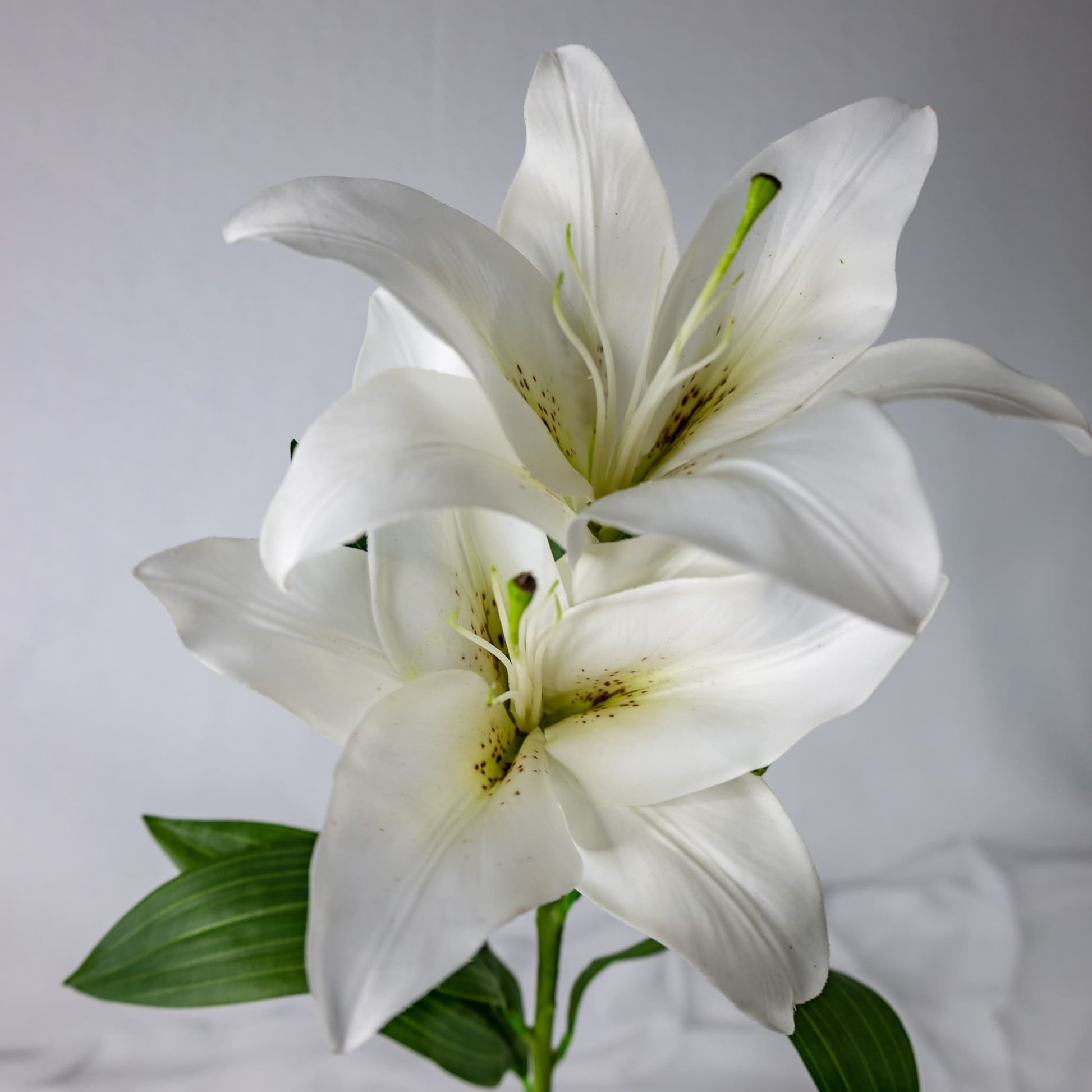 artificial White Oriental Lily top view