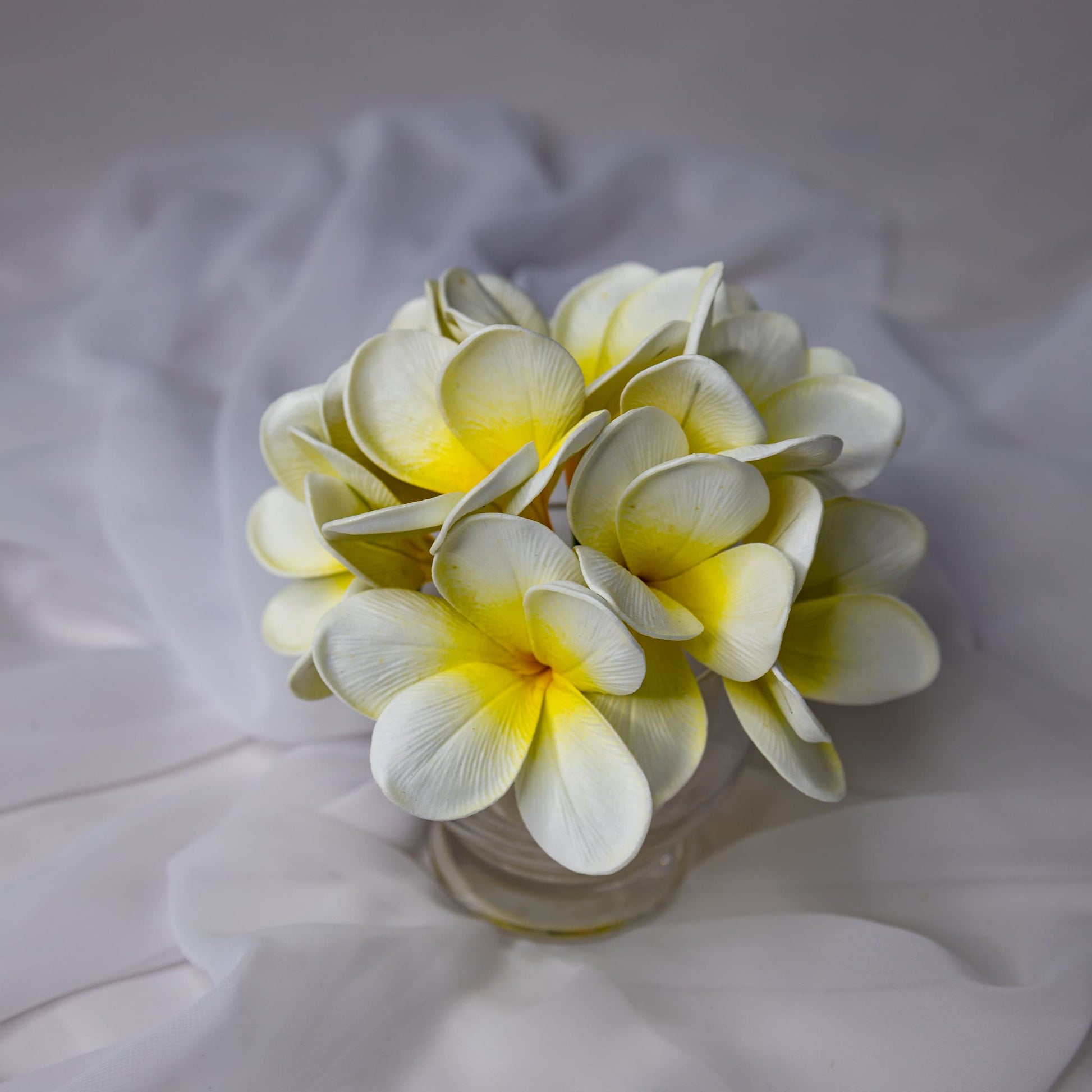 artificial White Yellow Frangipani Flowerhead in glass vase