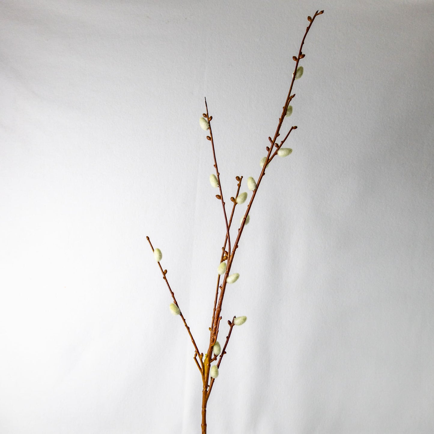 artificial willow branch