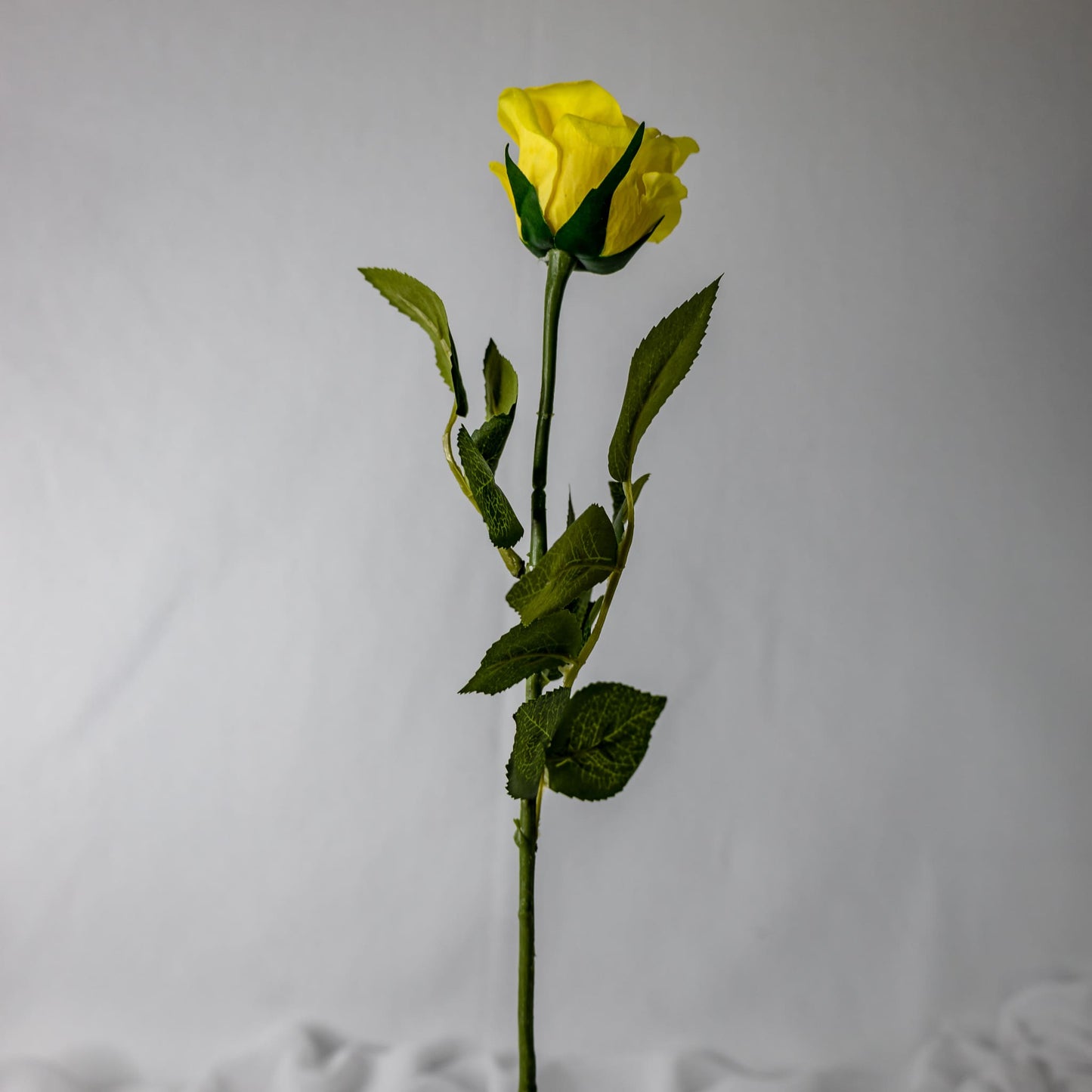 Yellow Real Touch Half bloom Rose