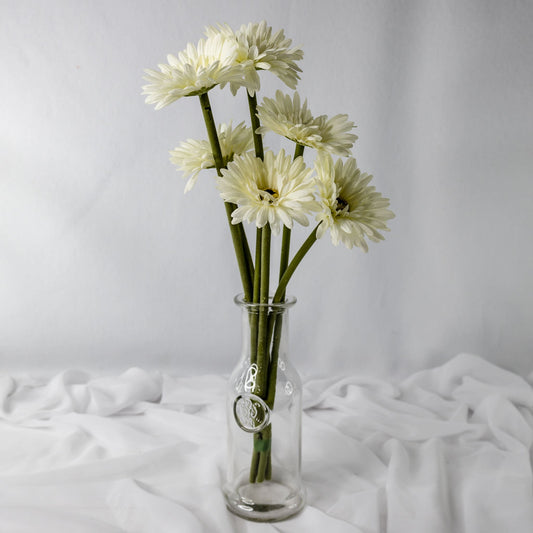 artificial white gerbera flowers placed in transparent glass vase