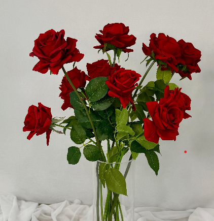 10 Red Rose Bouquet Gift Wrapped