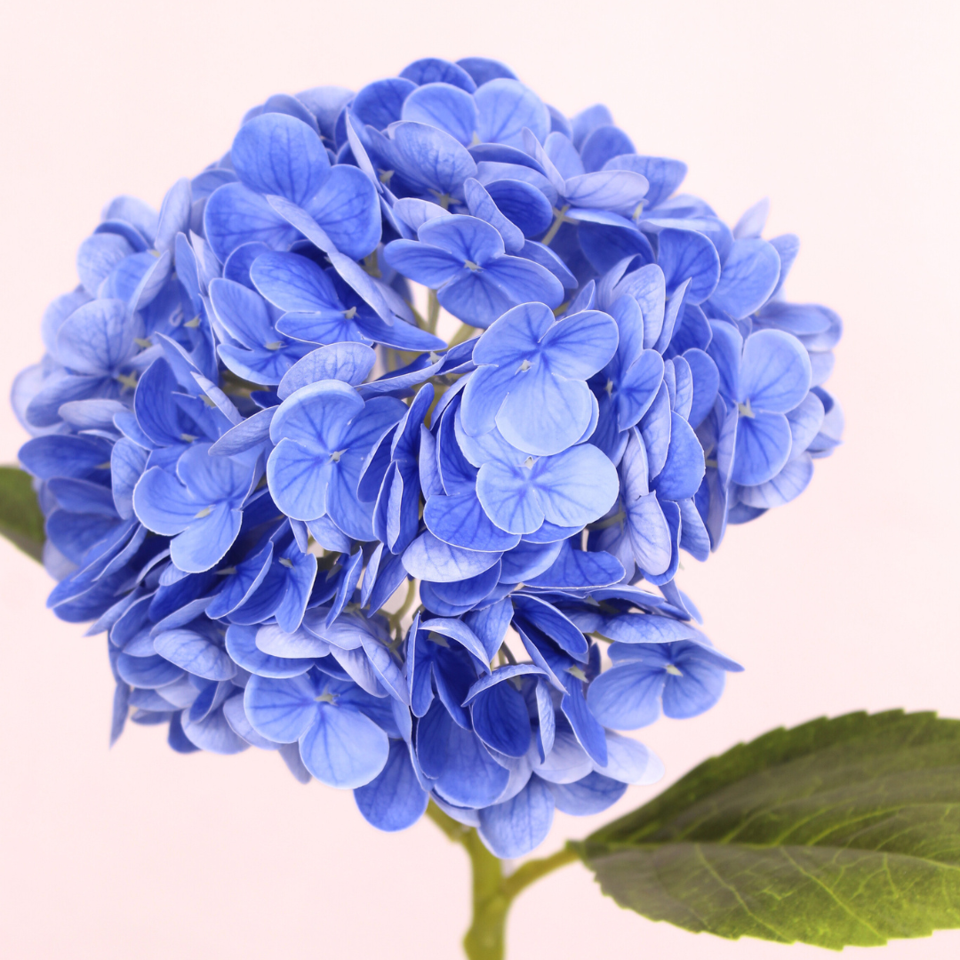 Dark Blue Real Touch Medium Hydrangea - Realistic Artificial Flowers