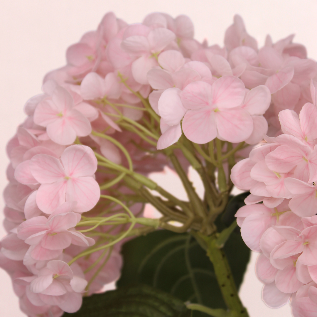 Light Pink Real Touch Medium Hydrangea - Realistic Artificial Flowers