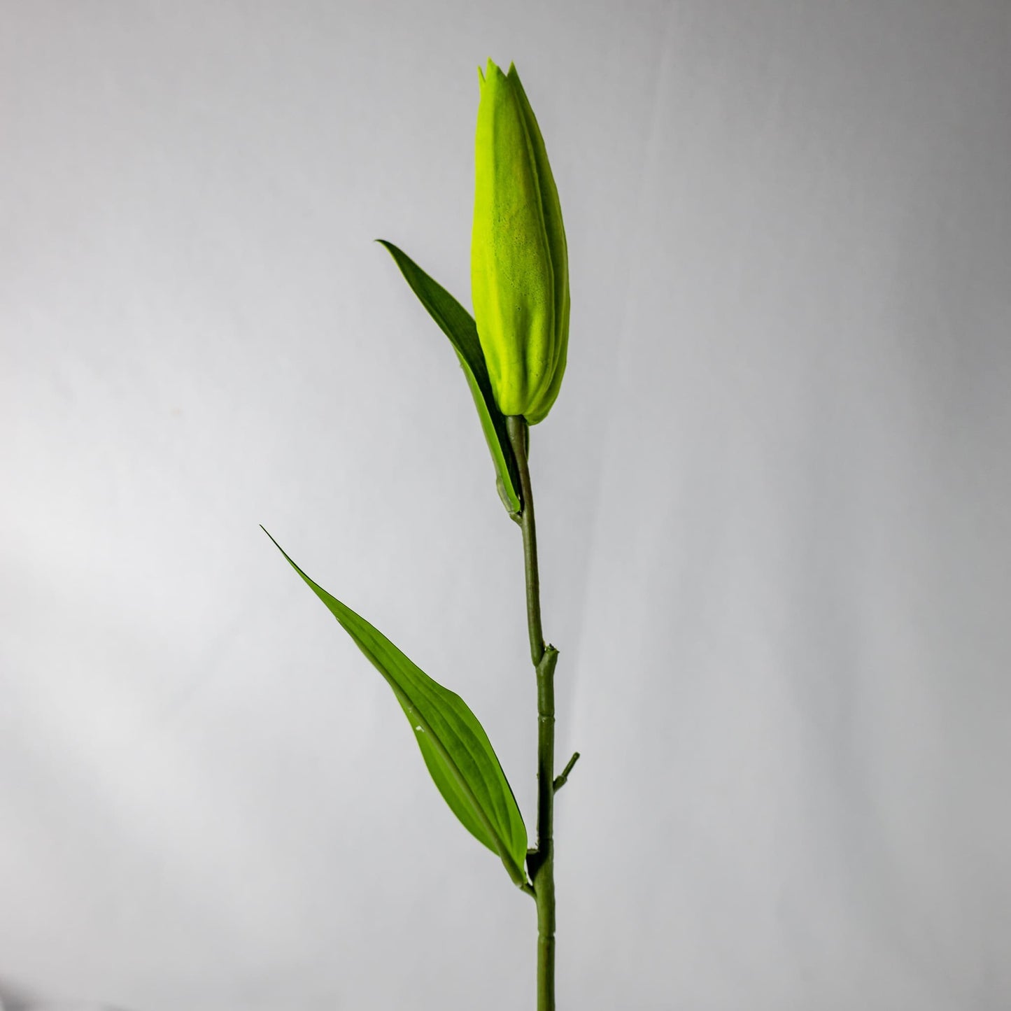 artificial Green Lily Bud
