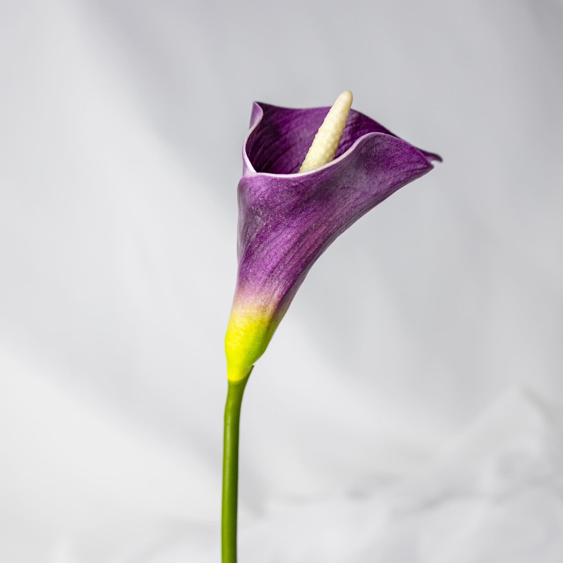 artificial Mauve Mini Calla Lily