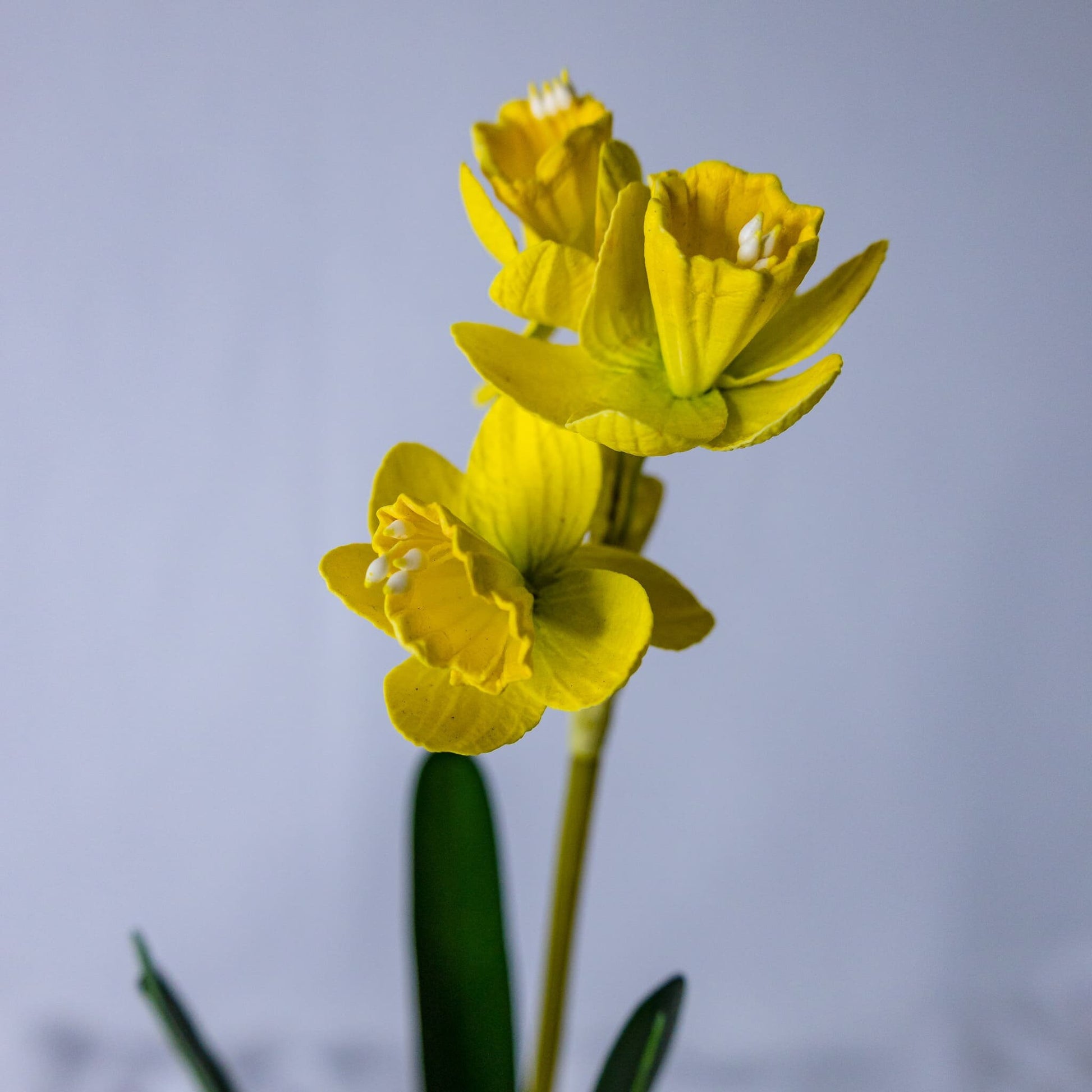 artificial Narcissus/Jonquils flowers