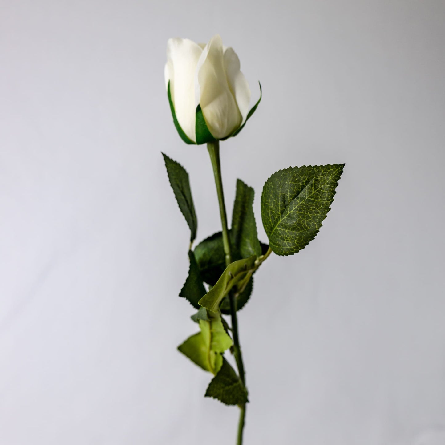 artificial Off White Real Touch Open Bud Rose