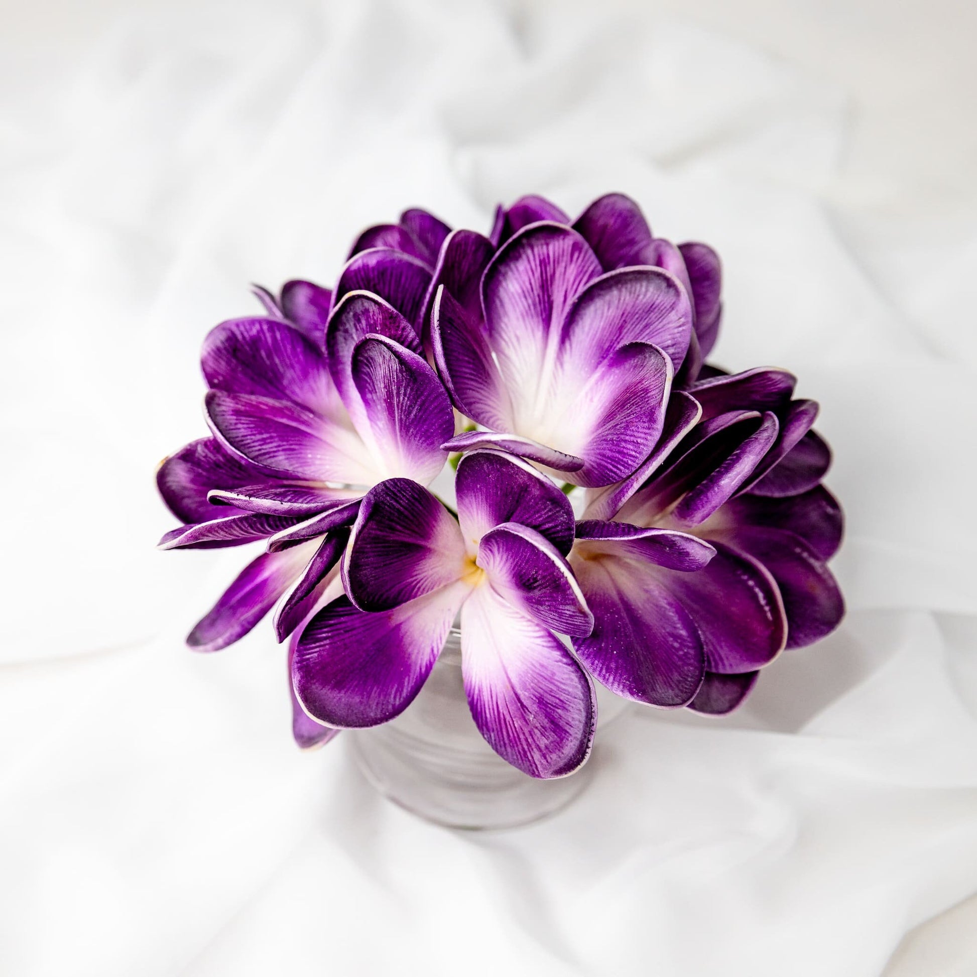 Purple Haze Frangipani Flowerhead - Realistic Artificial Flowers