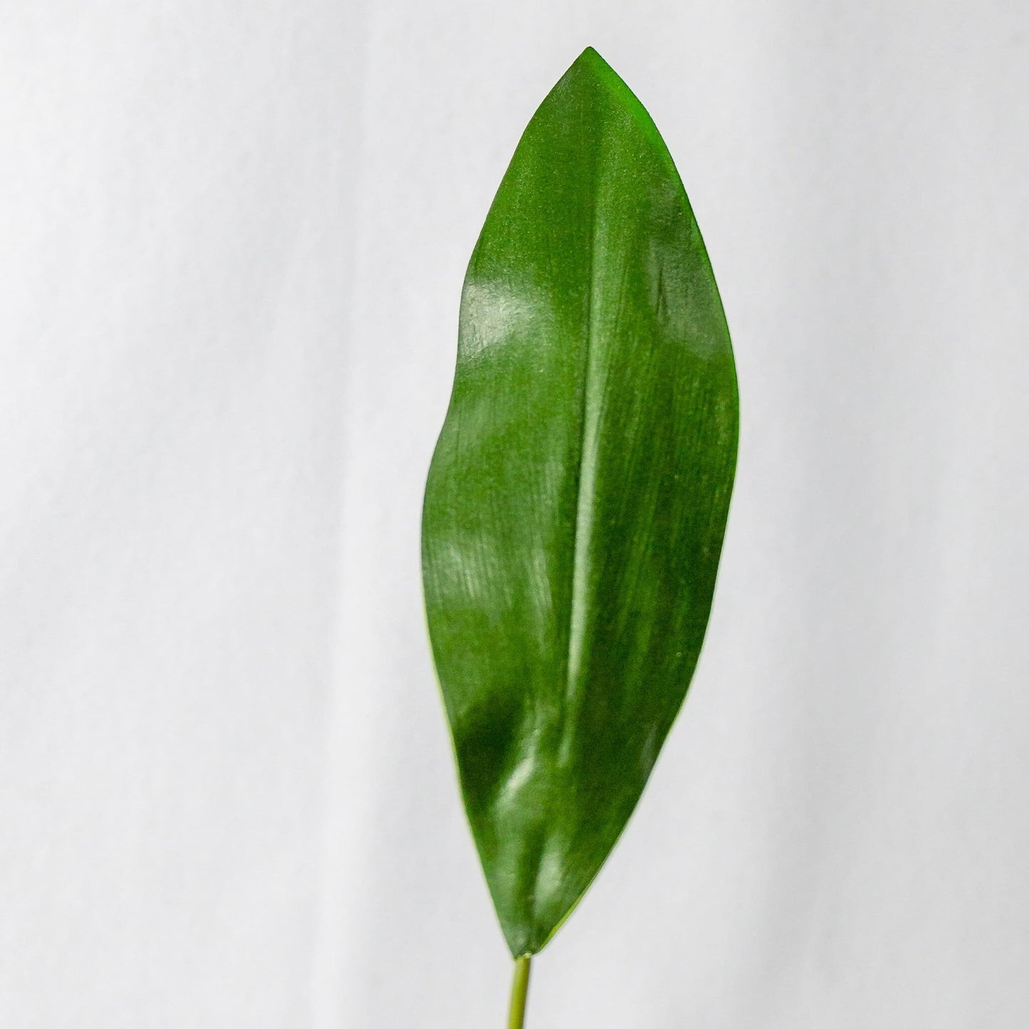 artificial Mini Calla Leaf