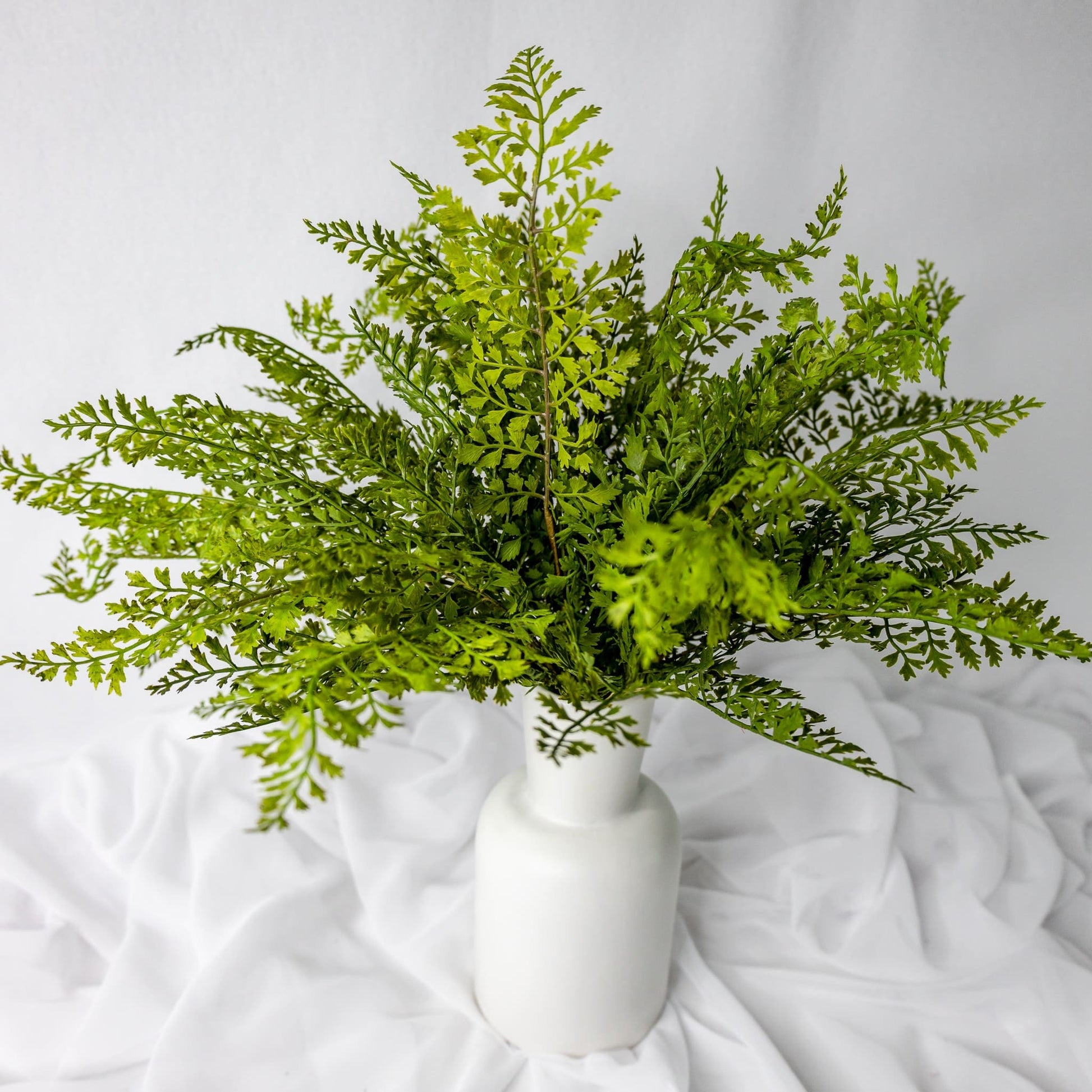 artificial Maidenhair Fern in white vase