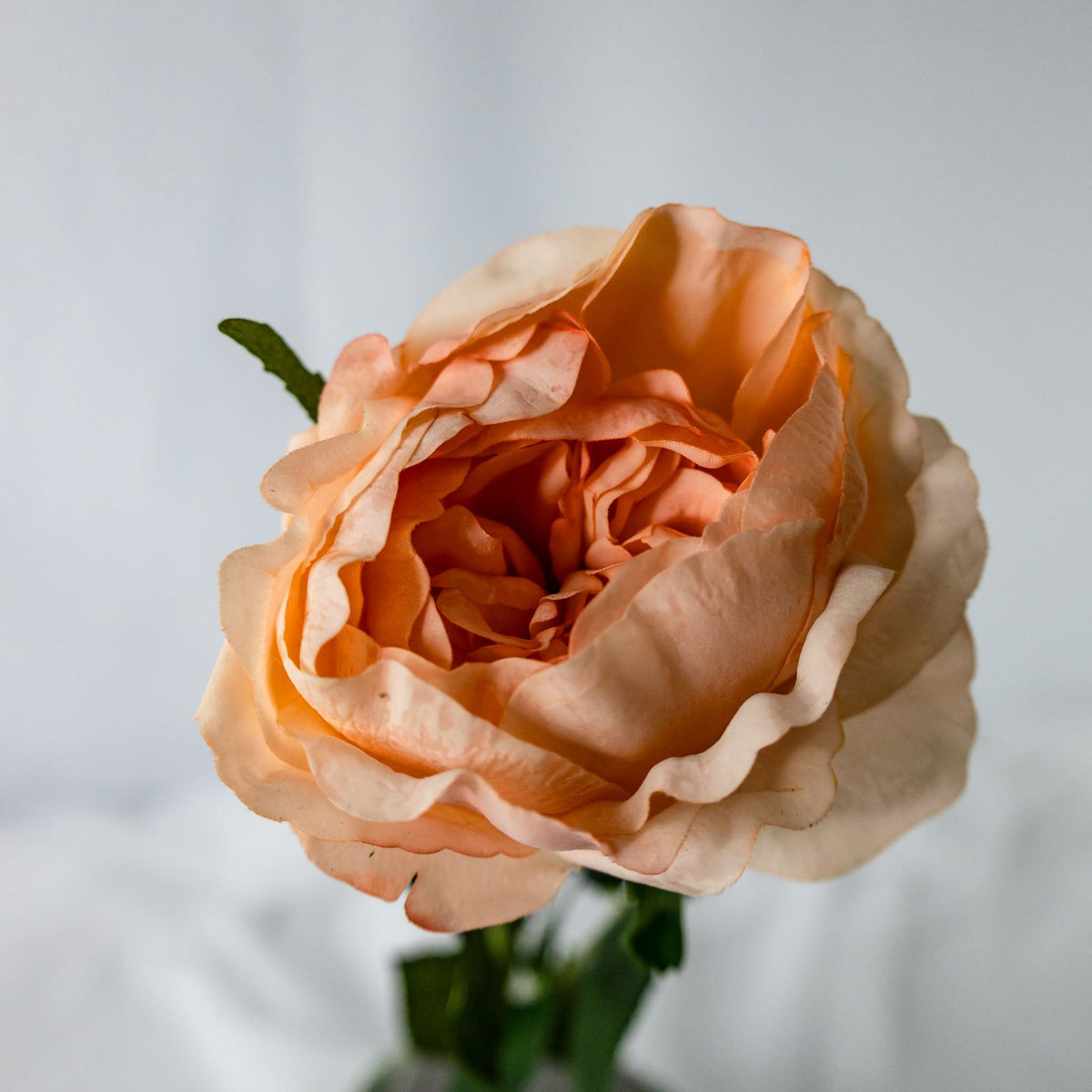 Vintage Coral David Austin Real Touch Half Bloom Rose - Realistic Artificial Flowers