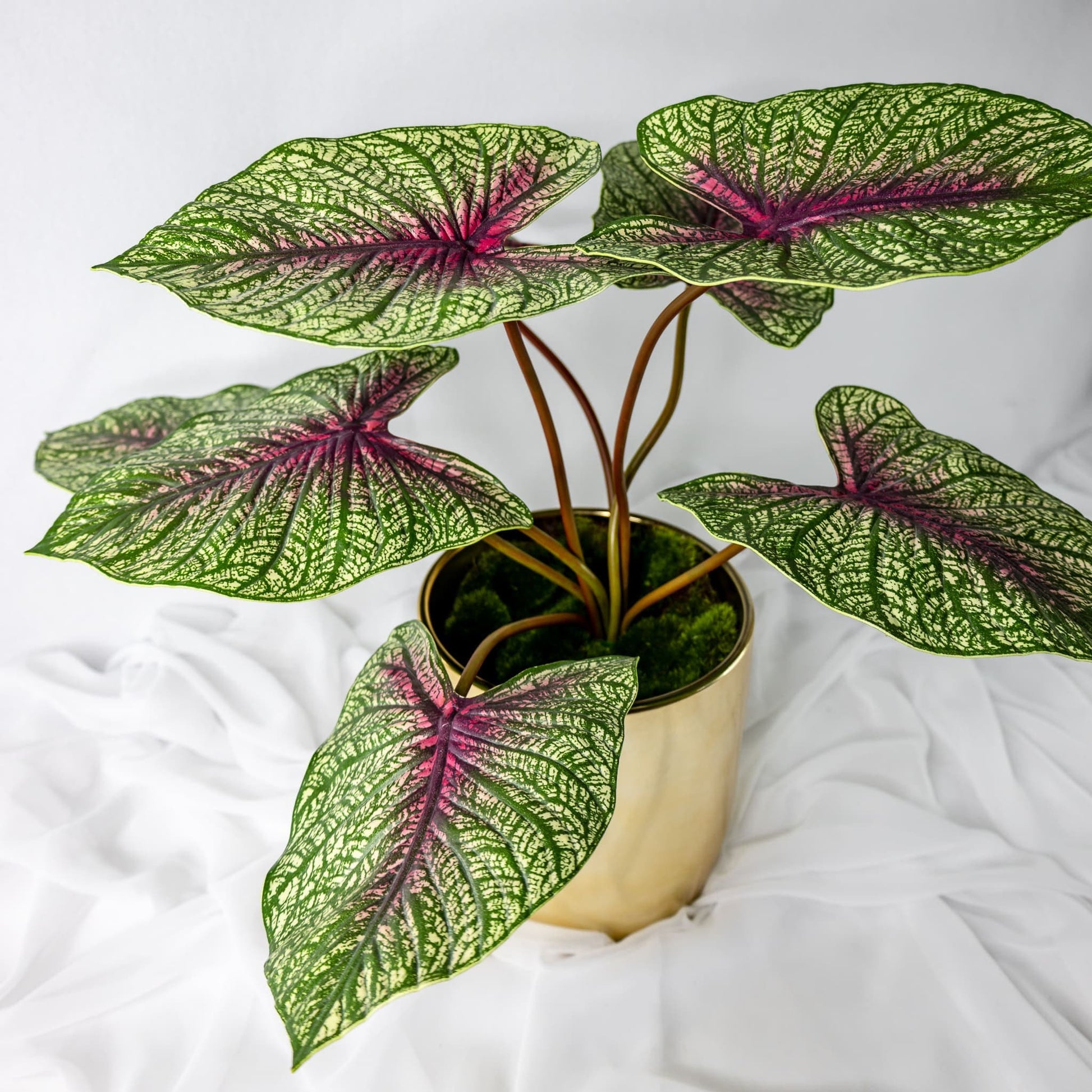 artificial Moss Green Caladium Leaves in gold vase