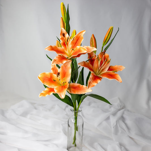 artificial Orange Asiatic Lilies Small in clear glass