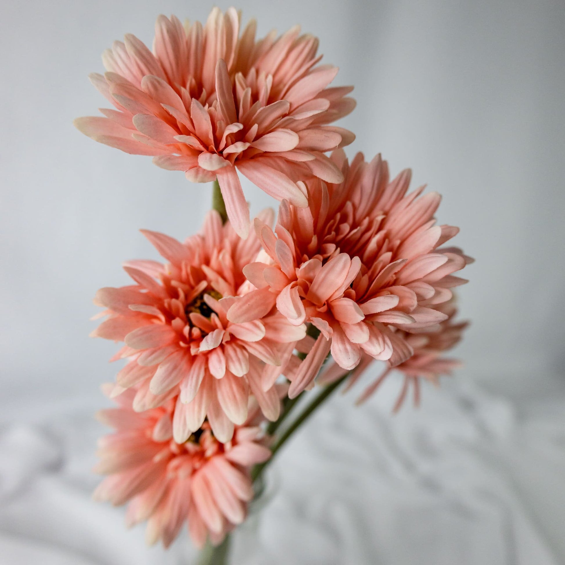 Artificial pale pink gerbera flowers