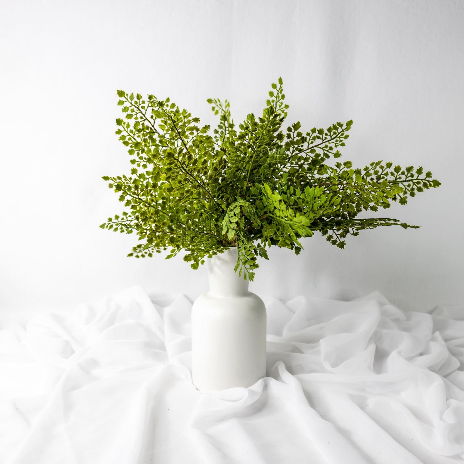 Artificial Parsley Fern in white vase