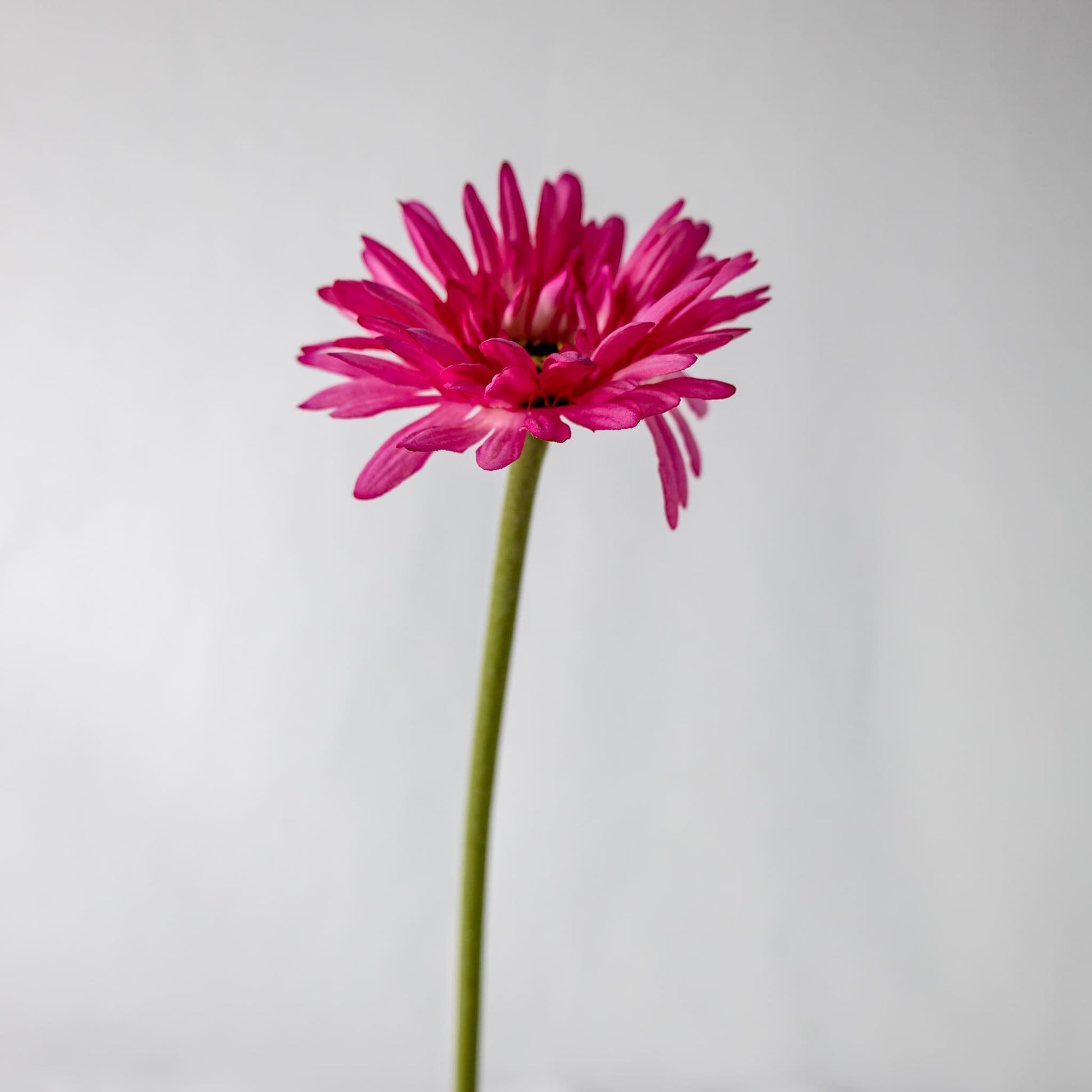 Artificial Pink Gerbera flower
