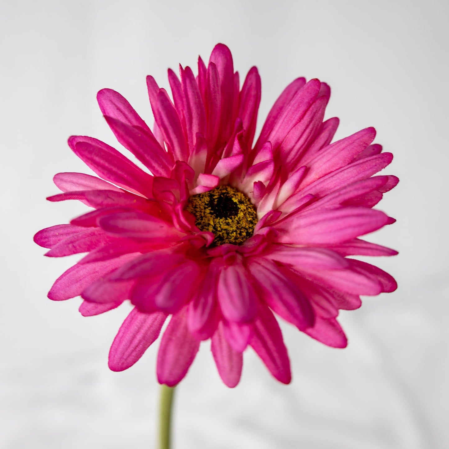Artificial Pink Gerbera flower top view
