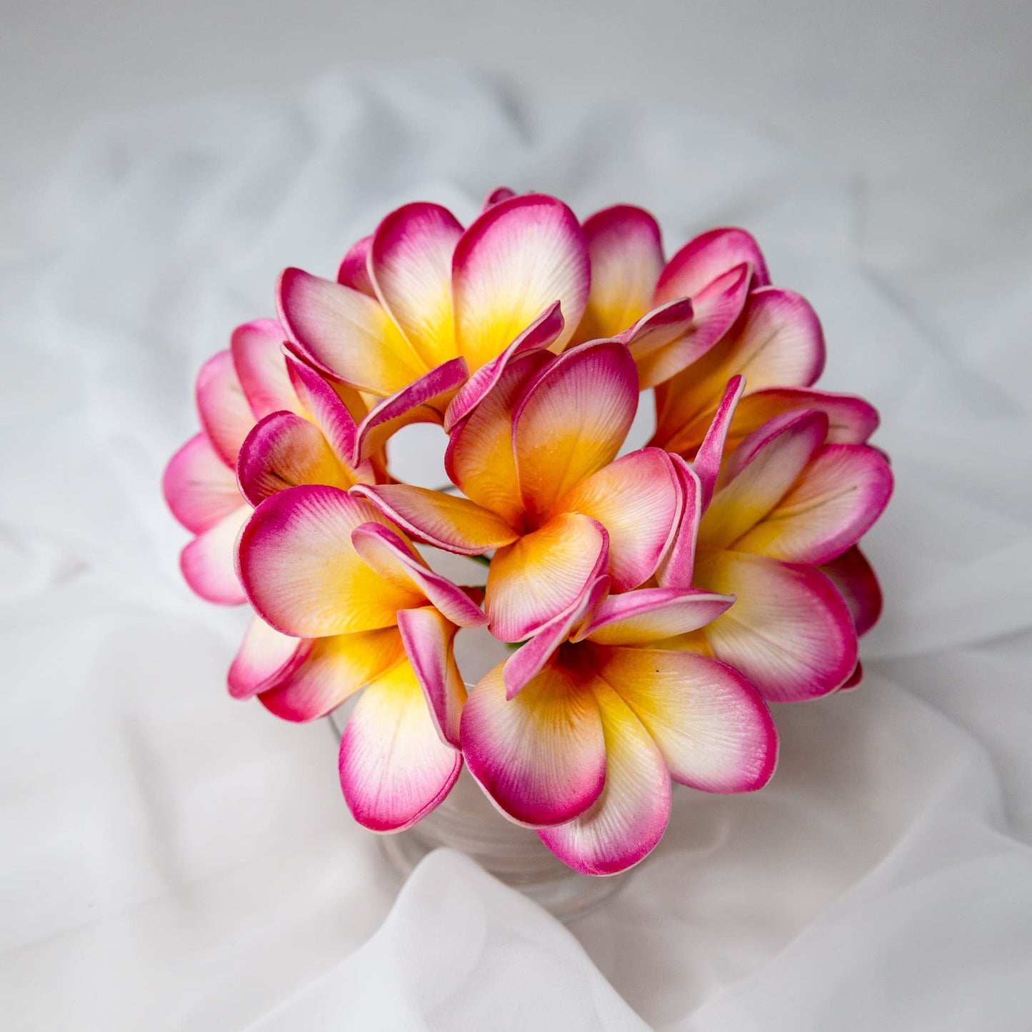 artificial Sunset Pink Frangipani Flowerheads in clear vase top view