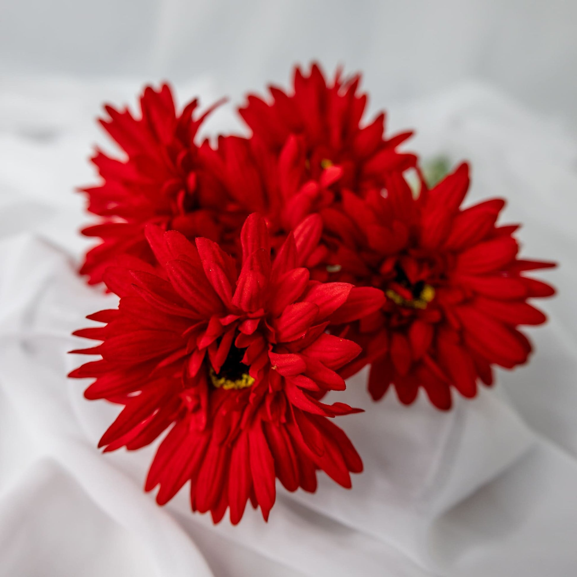 artificial Red Gerbera flowers closer look