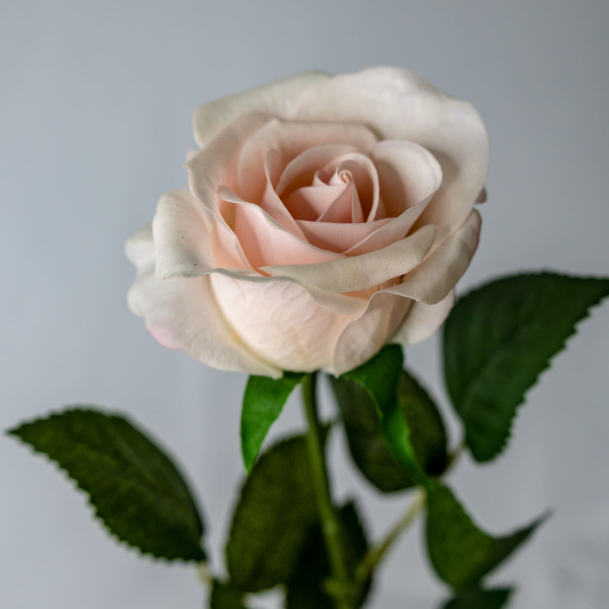 Light Pink Real Touch Half Bloom Rose - Realistic Artificial Flowers
