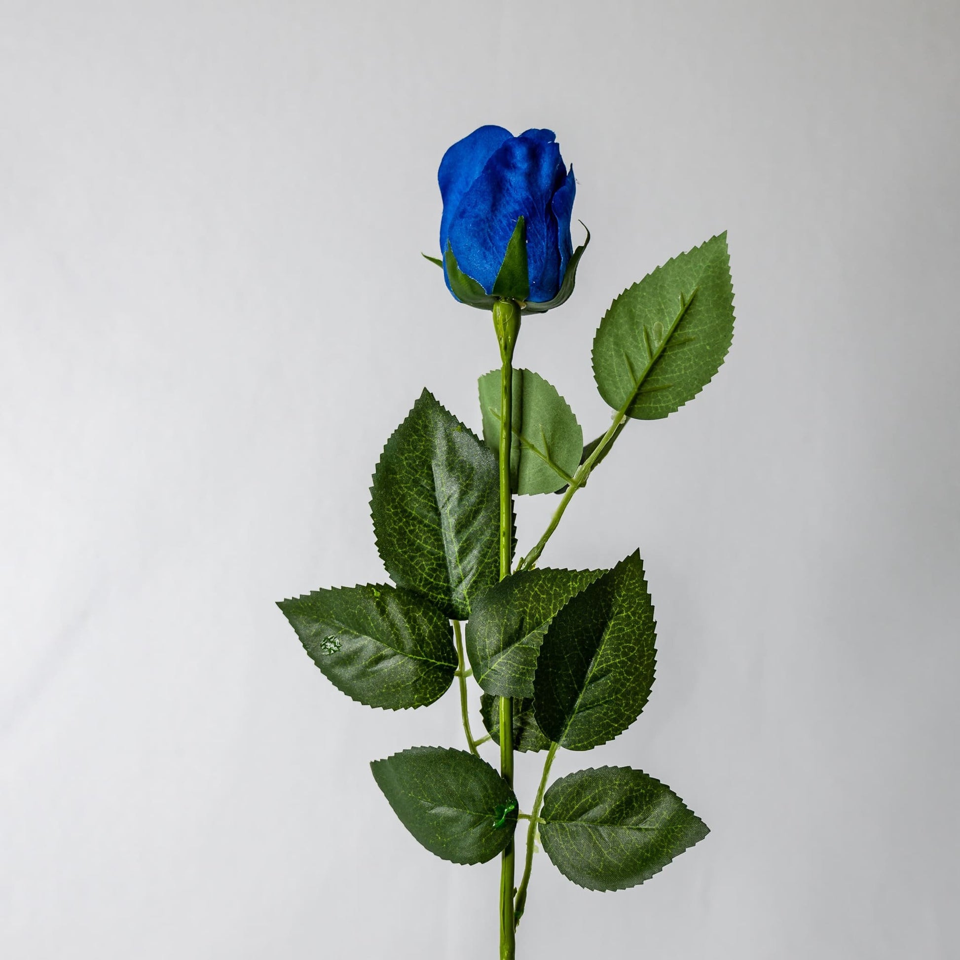 artificial Deep Blue Real Touch Open Rose Bud