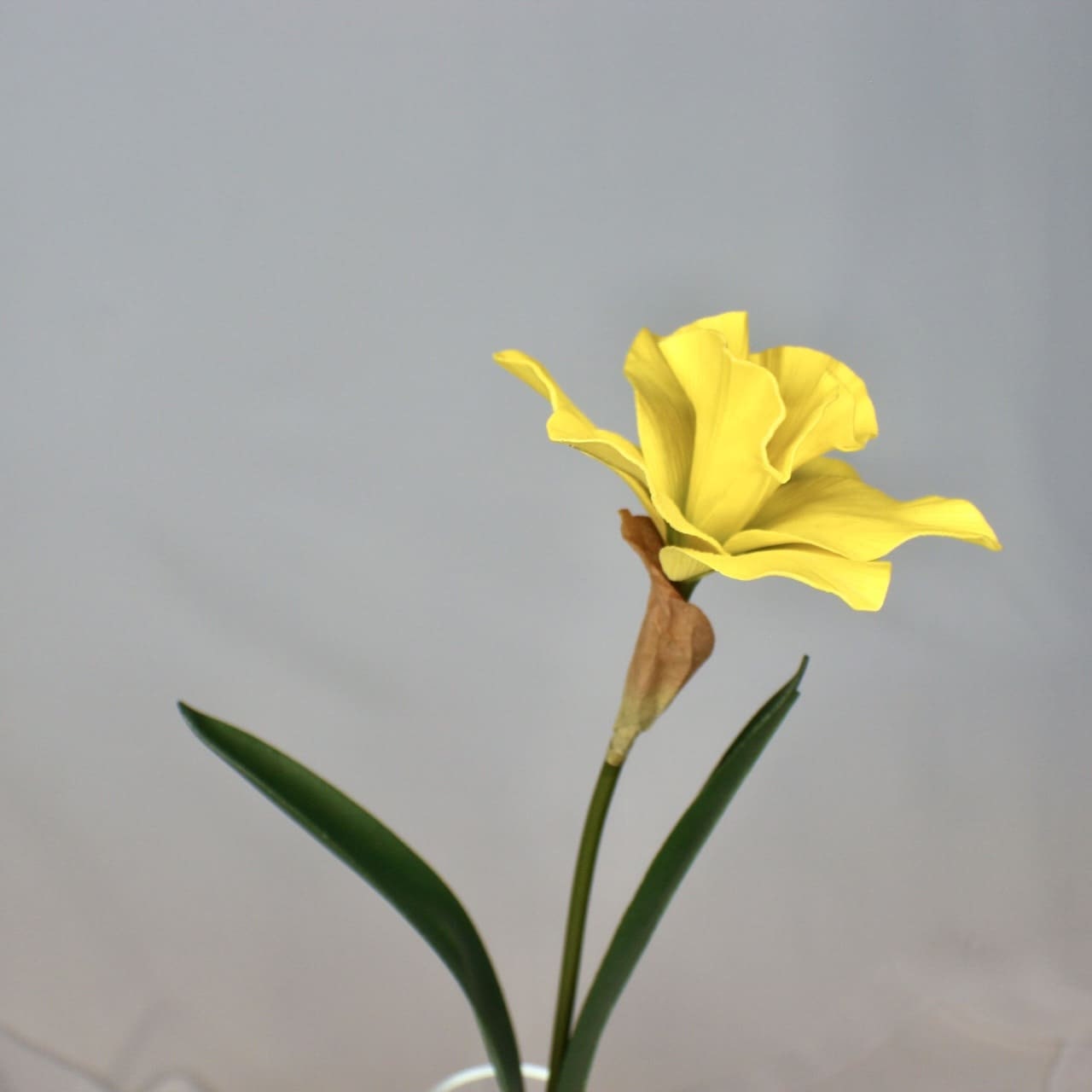 artificial Daffodil