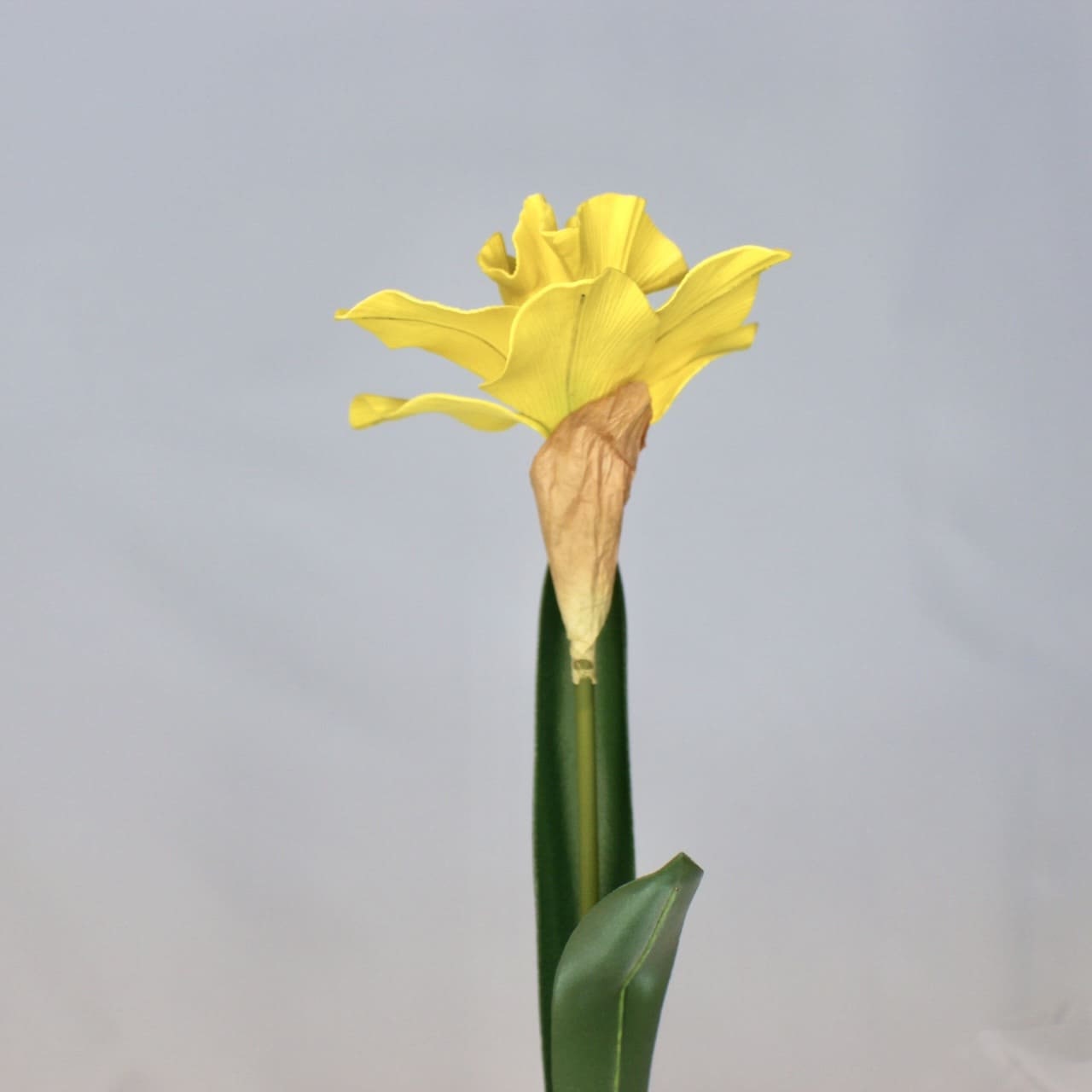 artificial Daffodil