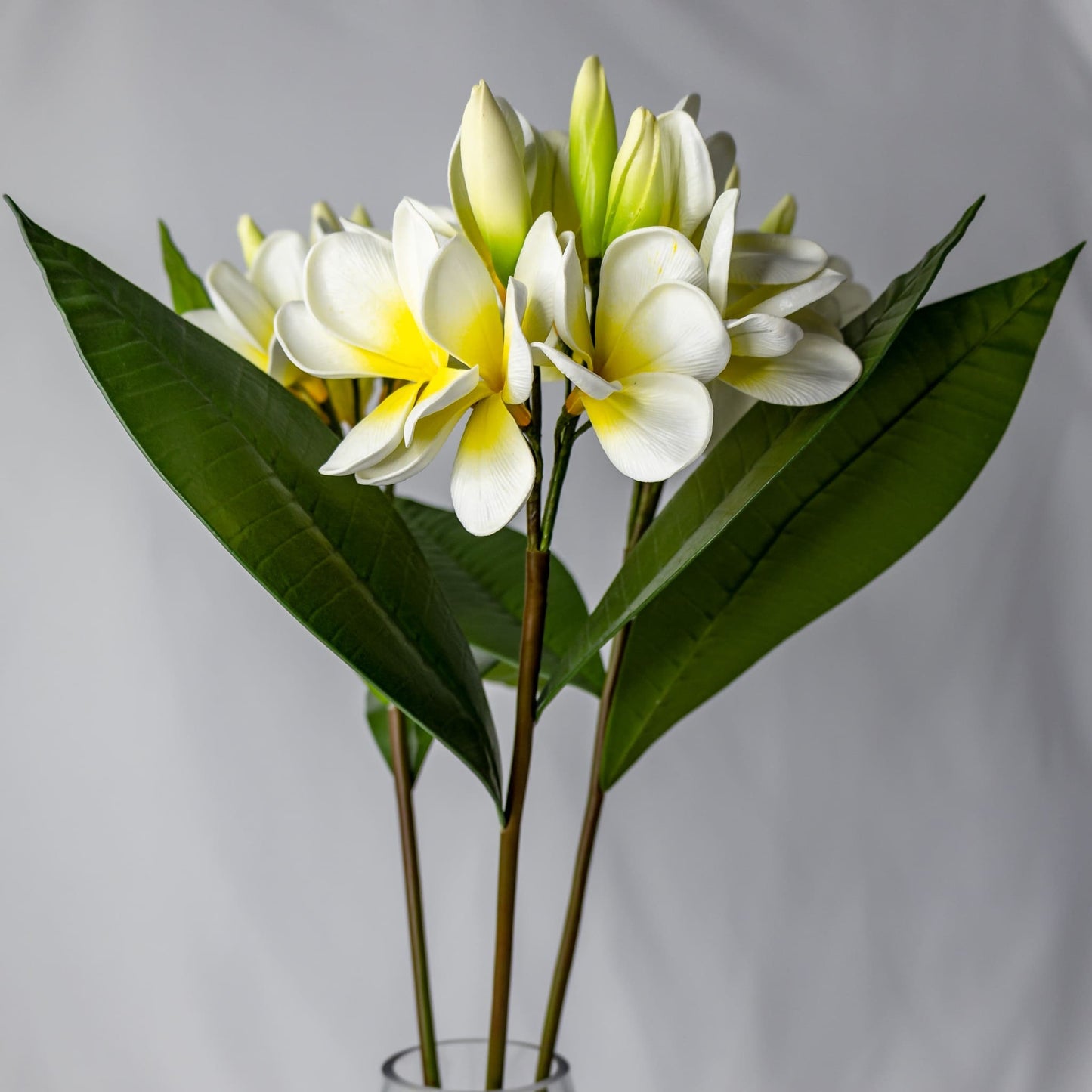 artificial Classic White & Yellow Frangipani Bunch in glass vase