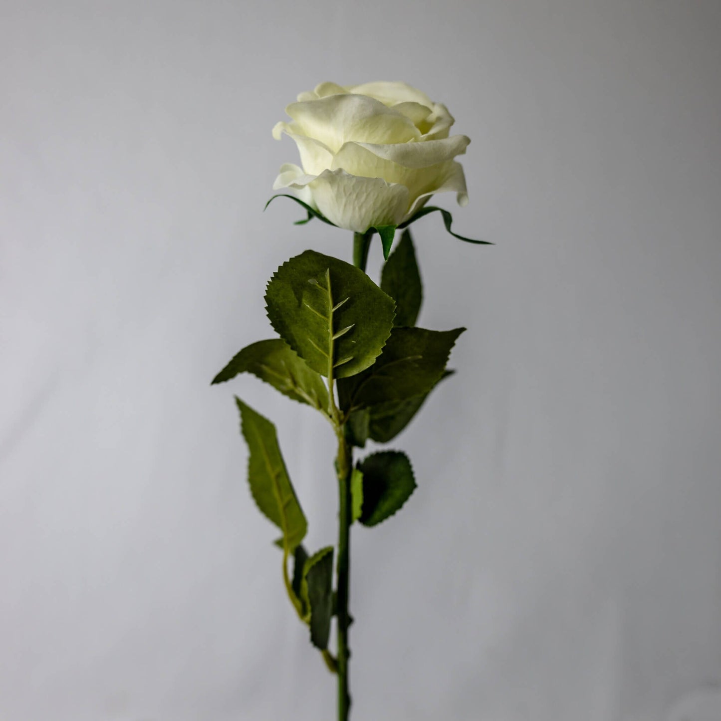 artificial Bridal White Real Touch Half bloom Rose