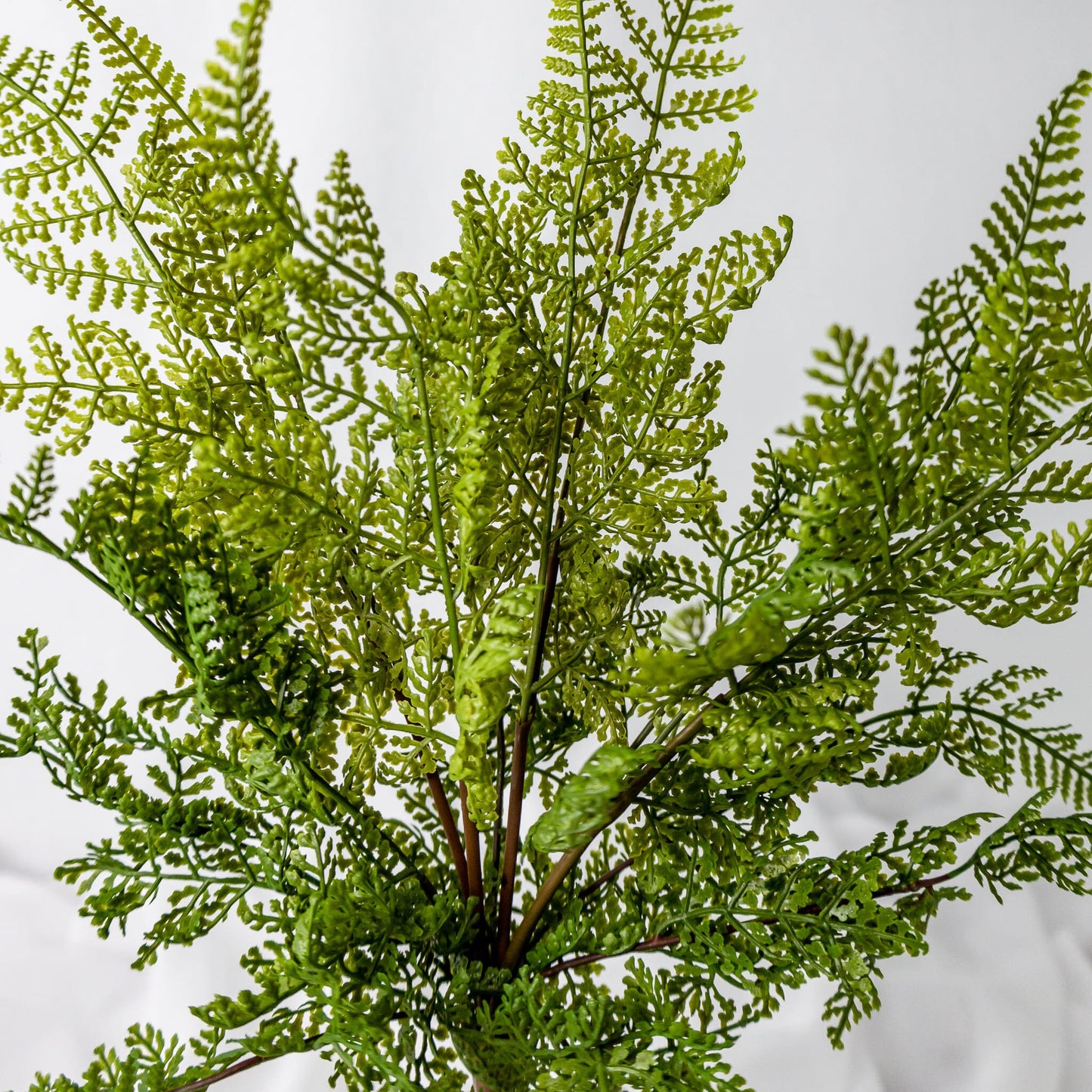 artificial Herringbone Ferns