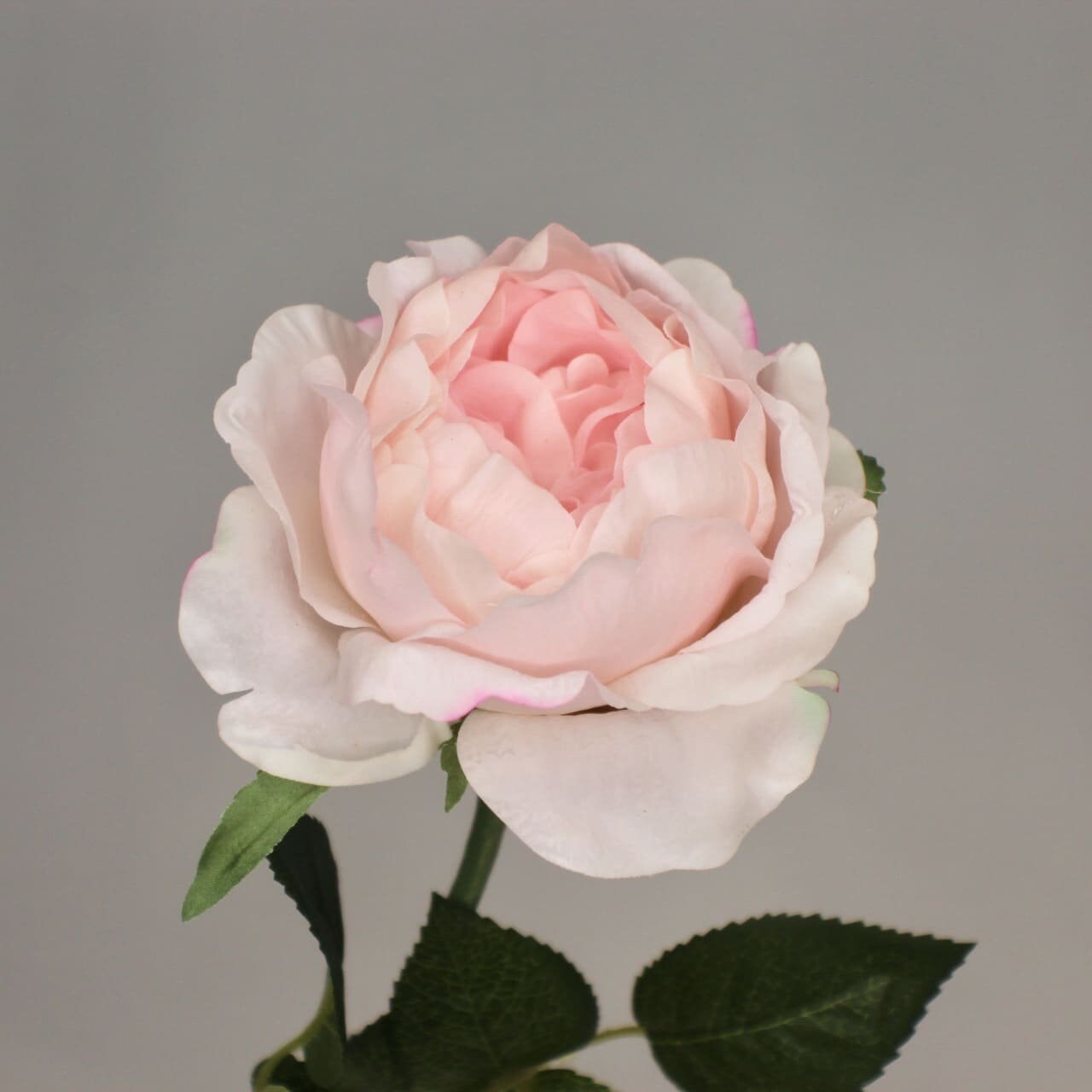 Light Pink David Austin Half Bloom Rose - Realistic Artificial Flowers