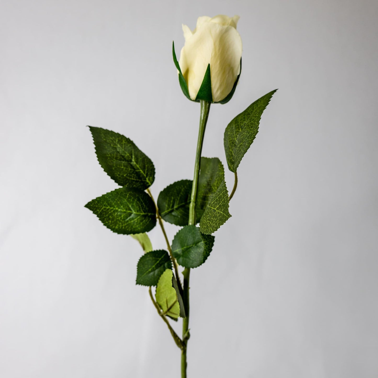 Artificial Cream Real Touch Rose Open Bud