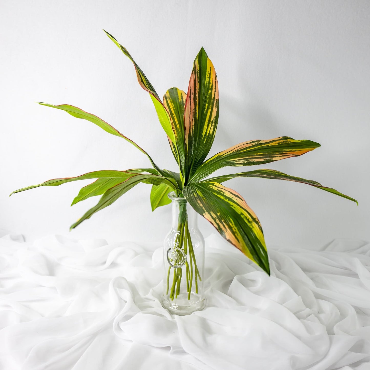 artificial Cordyline in glass vase