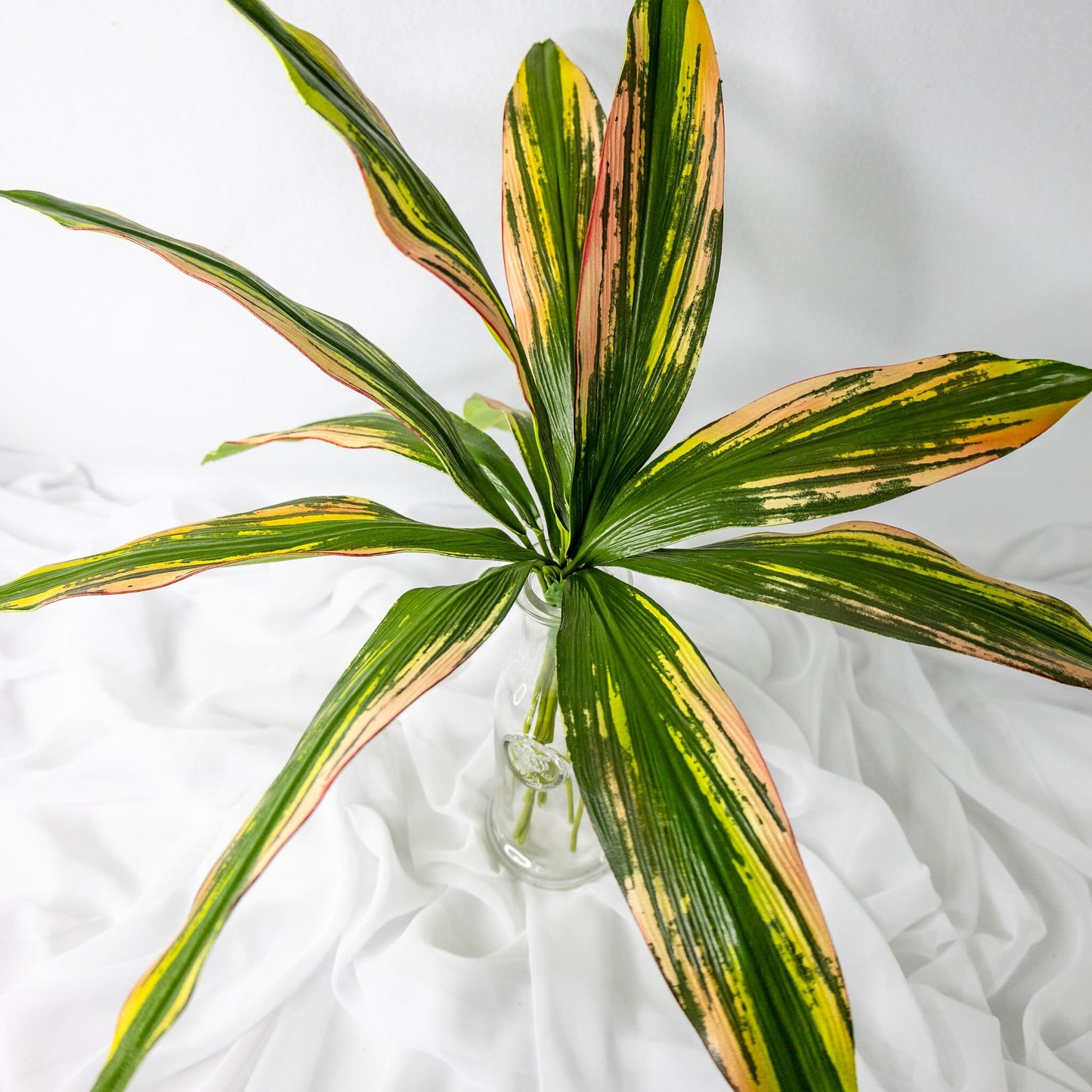 artificial Cordyline in glass vase top view
