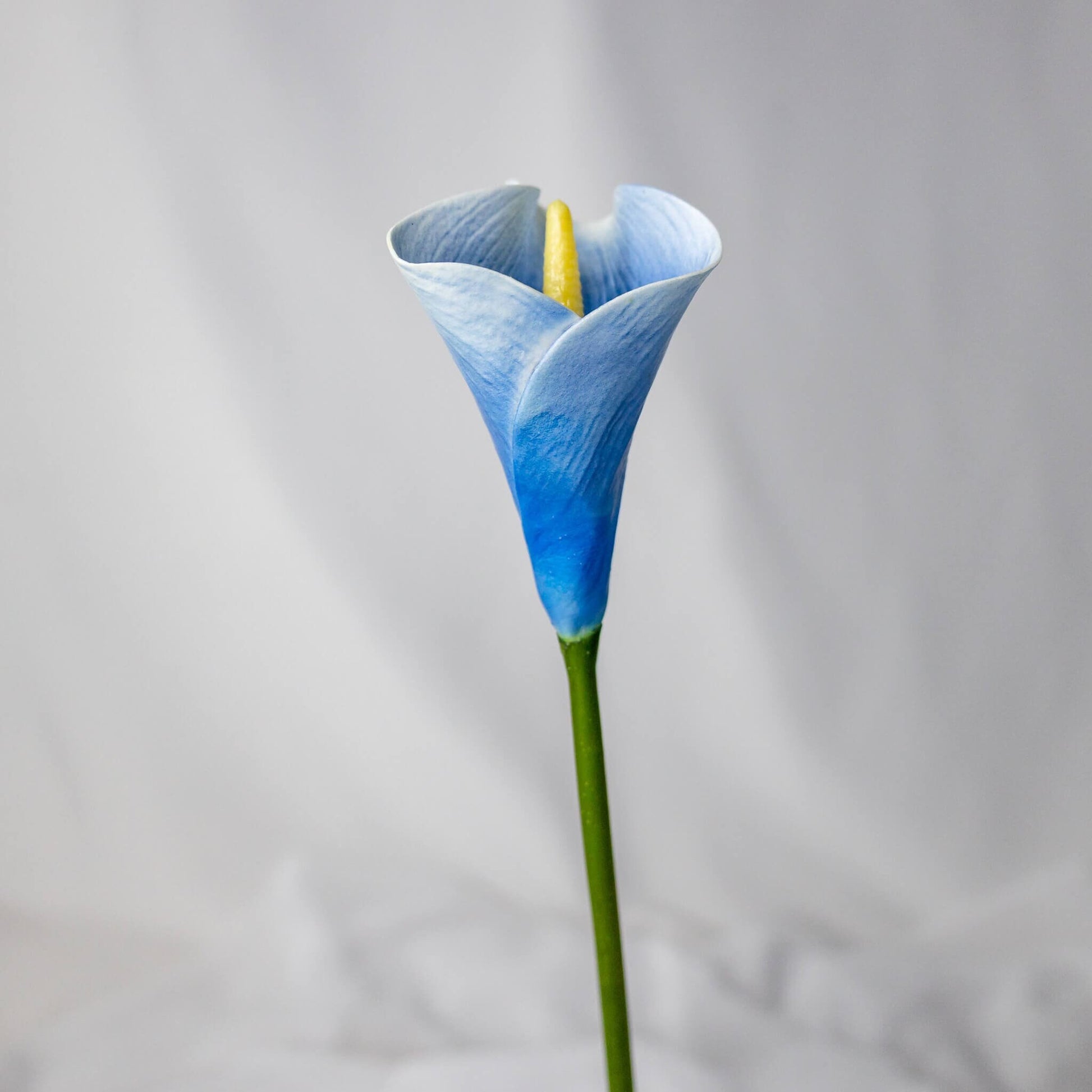 artificial Blue Halo Mini Calla Lily
