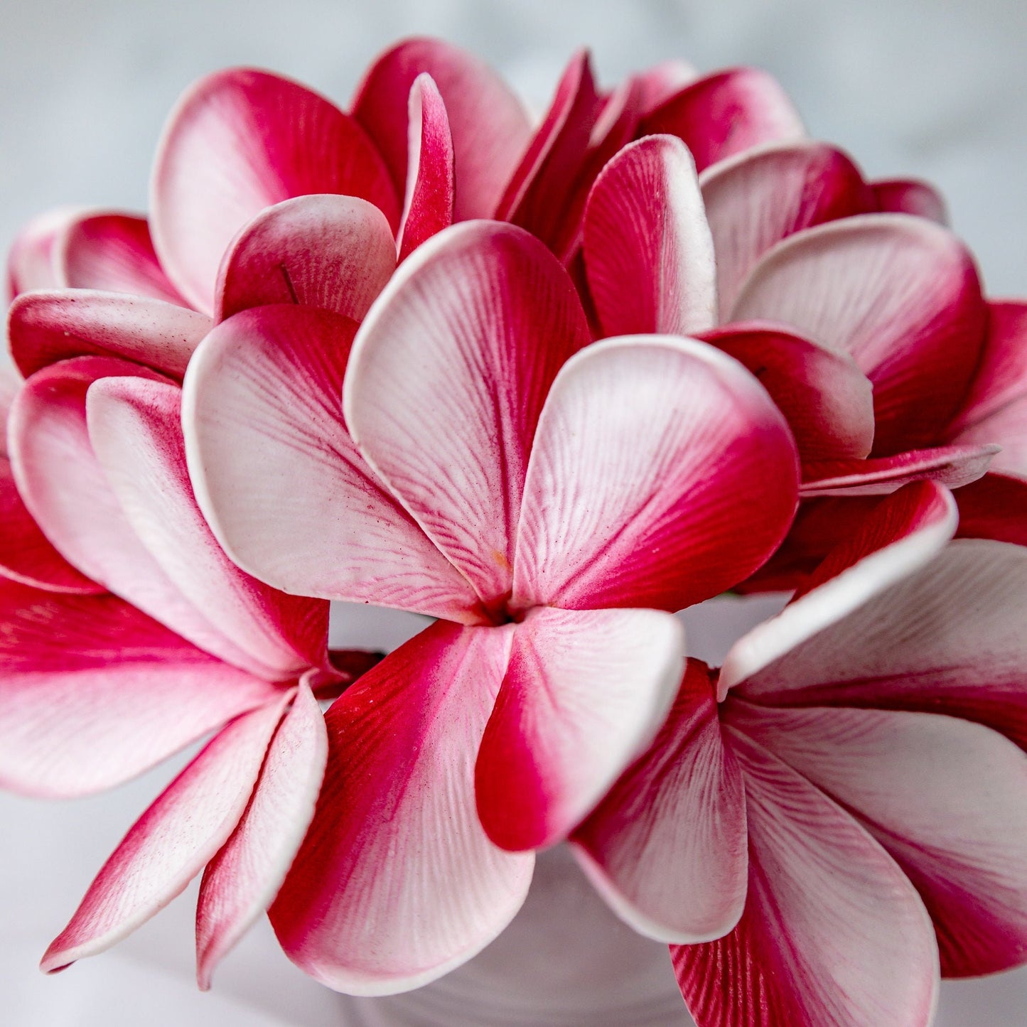 Candy Stripe Frangipani Flowerhead - Realistic Artificial Flowers