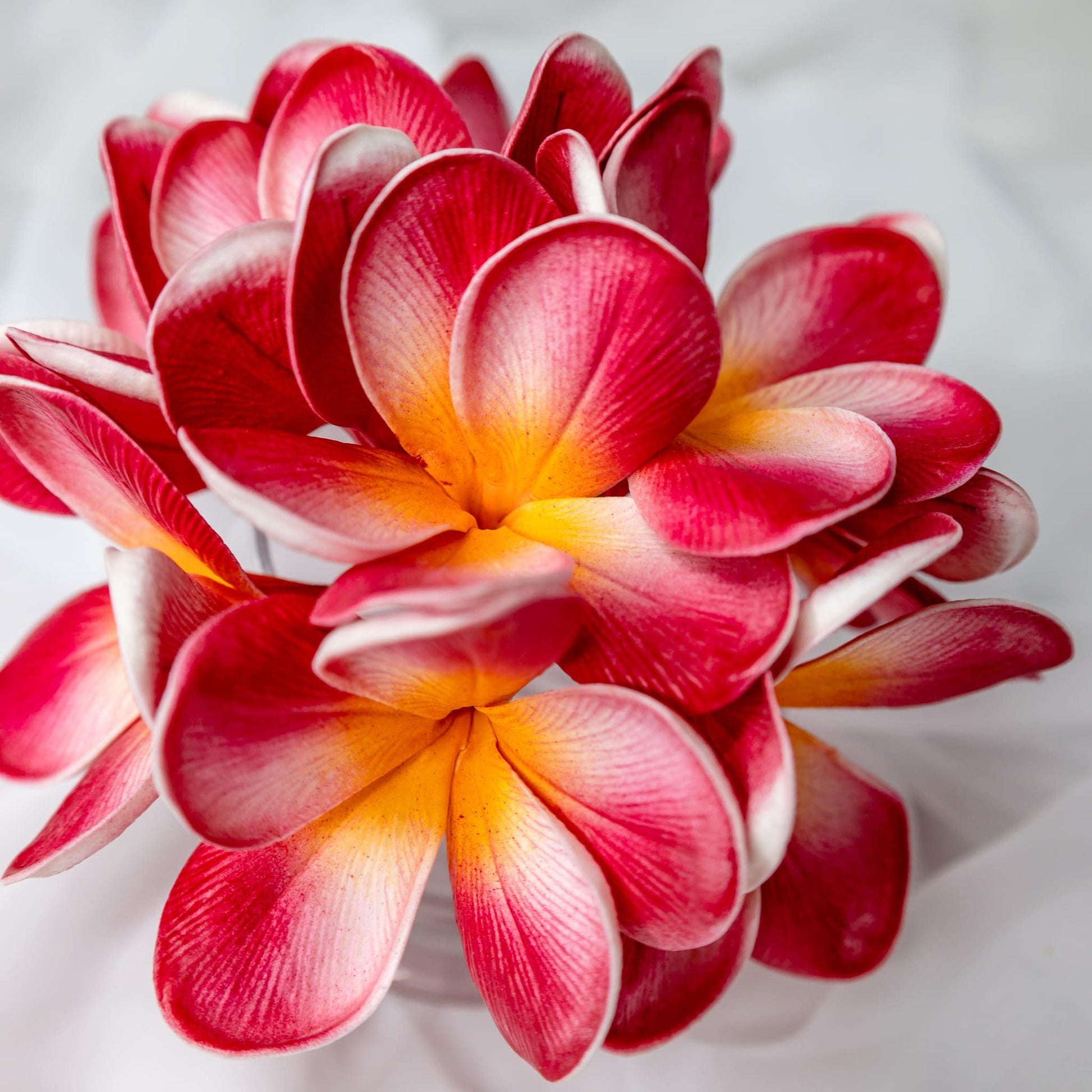 artificial red orange frangipani flowers