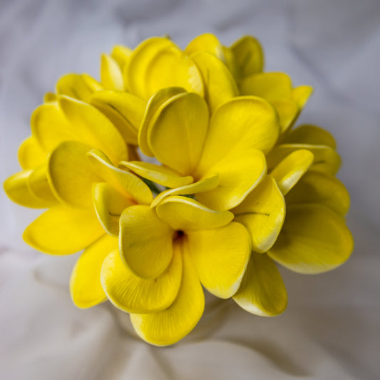 Sunburst Frangipani Flowerhead - Realistic Artificial Flowers