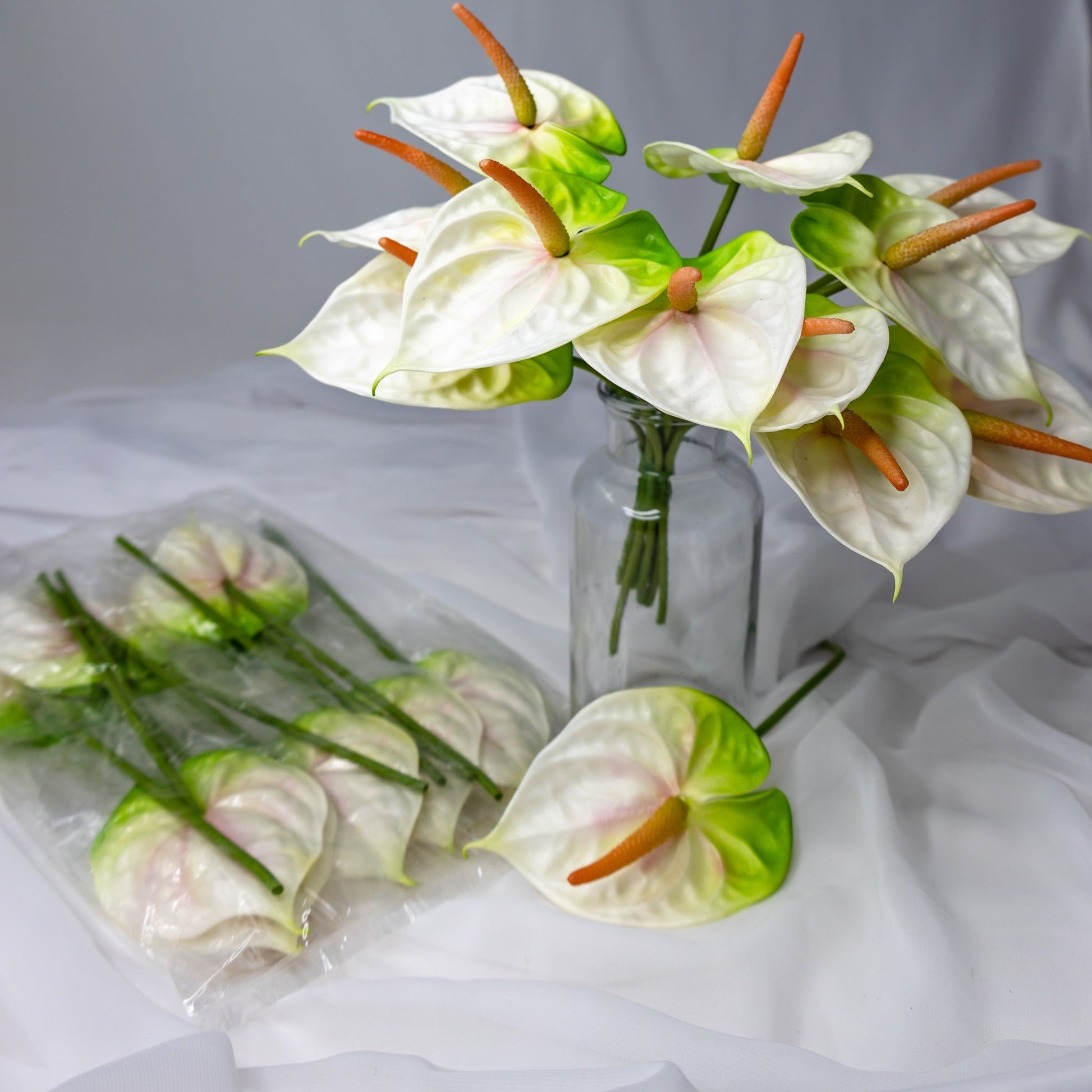 Anthurium Small White/Green - Realistic Artficial Flowers