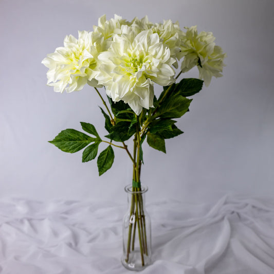 artificial white dahlia flowers placed in transparent glass vase