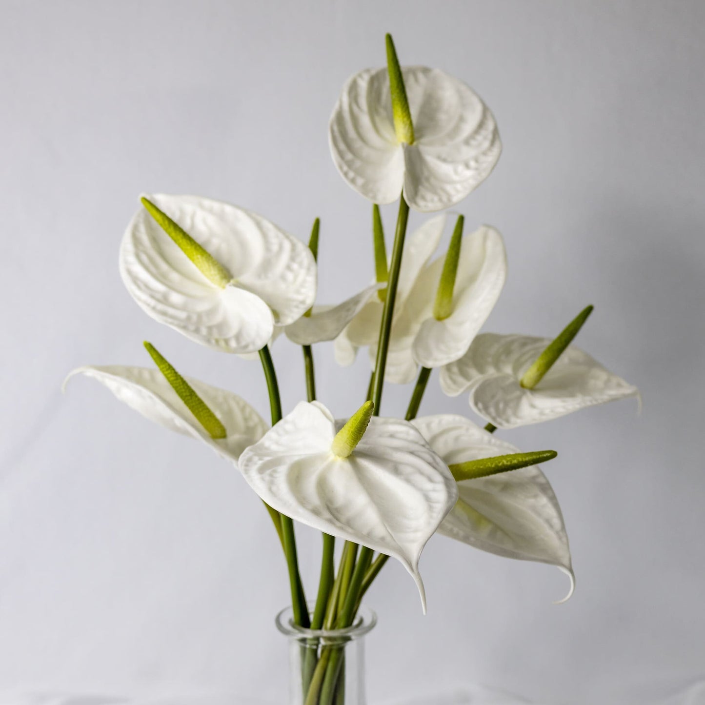 artificial white anthurium placed in transparent glass vase