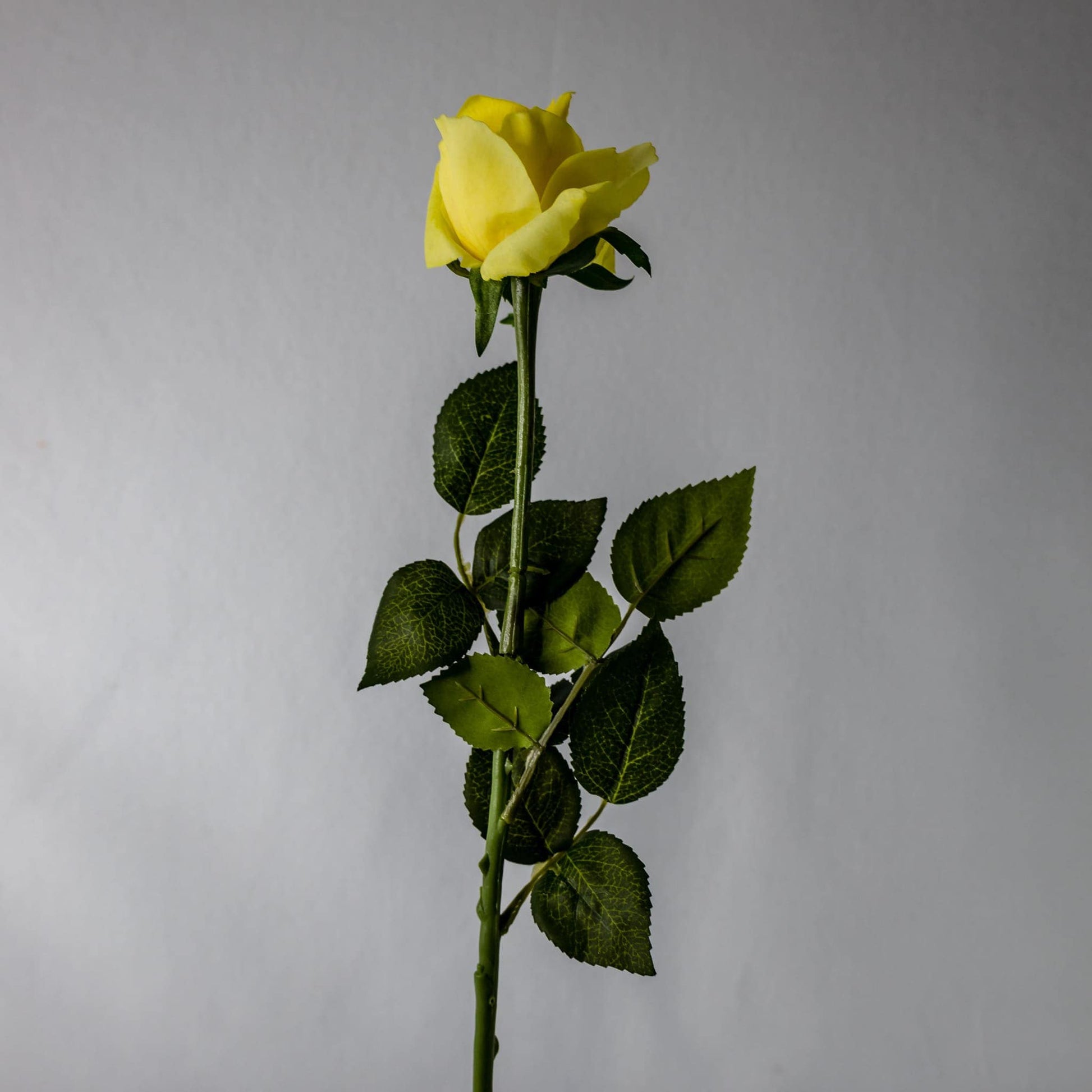artificial Yellow Real Touch open bloom Rose