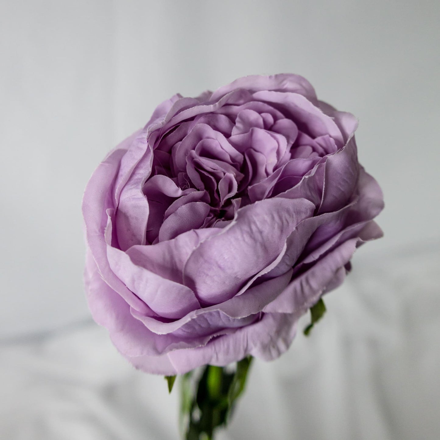 artificial vintage lilac david austin soft rose in open bloom