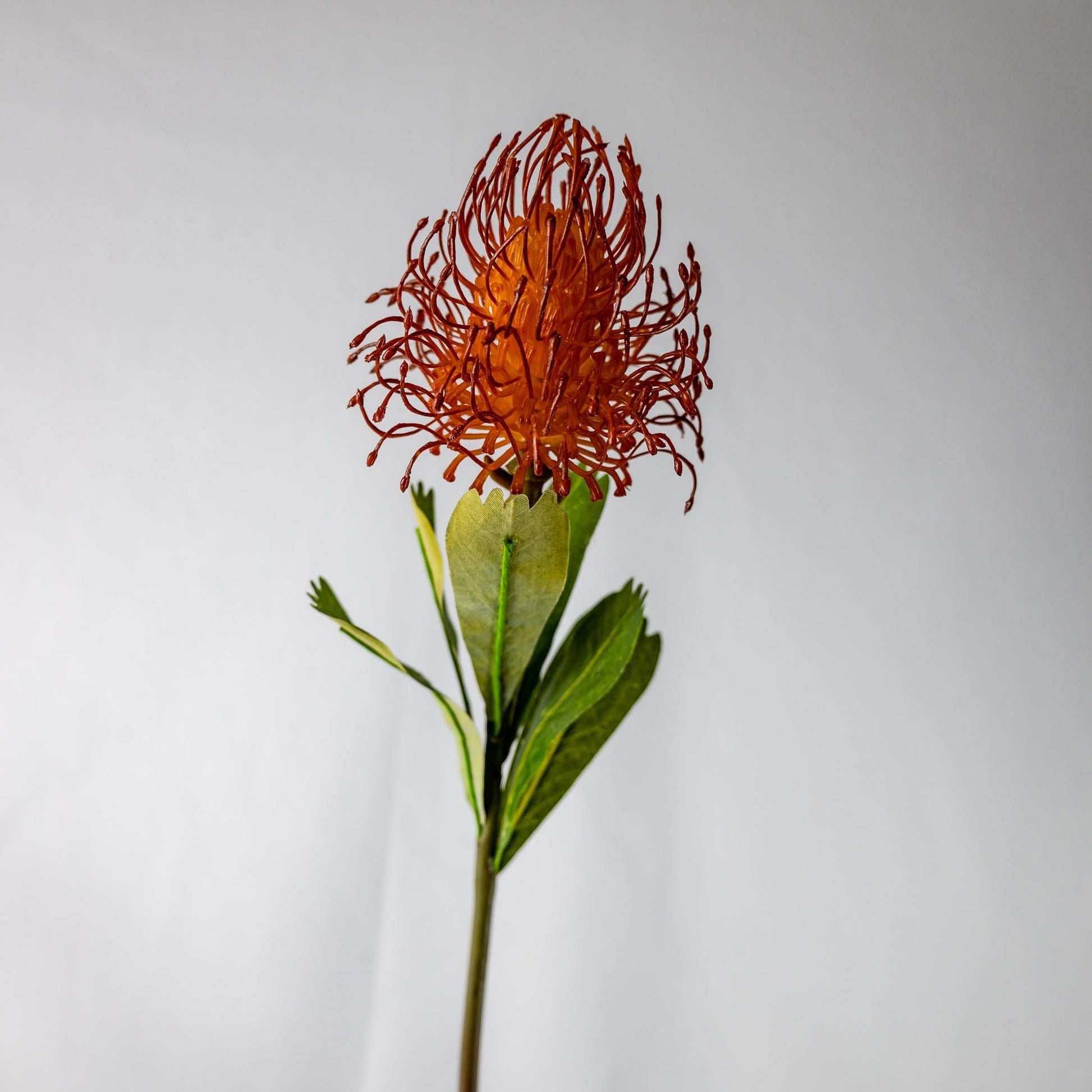 Burnt Orange Leucospermum - Realistic Artificial Flowers