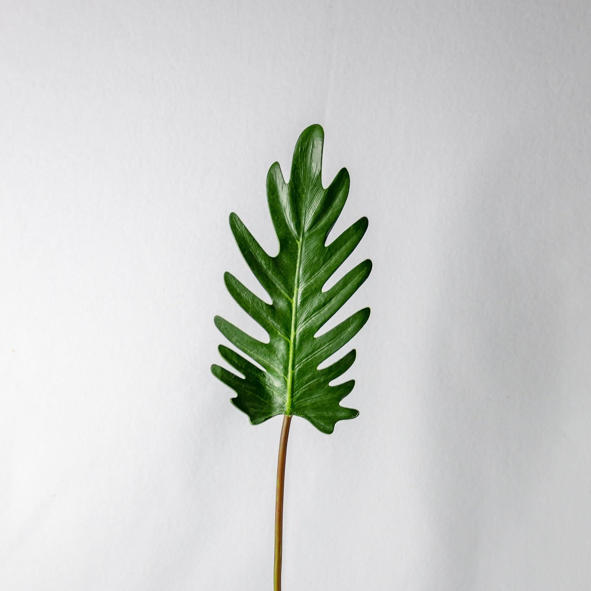 artificial small xandoo leaf