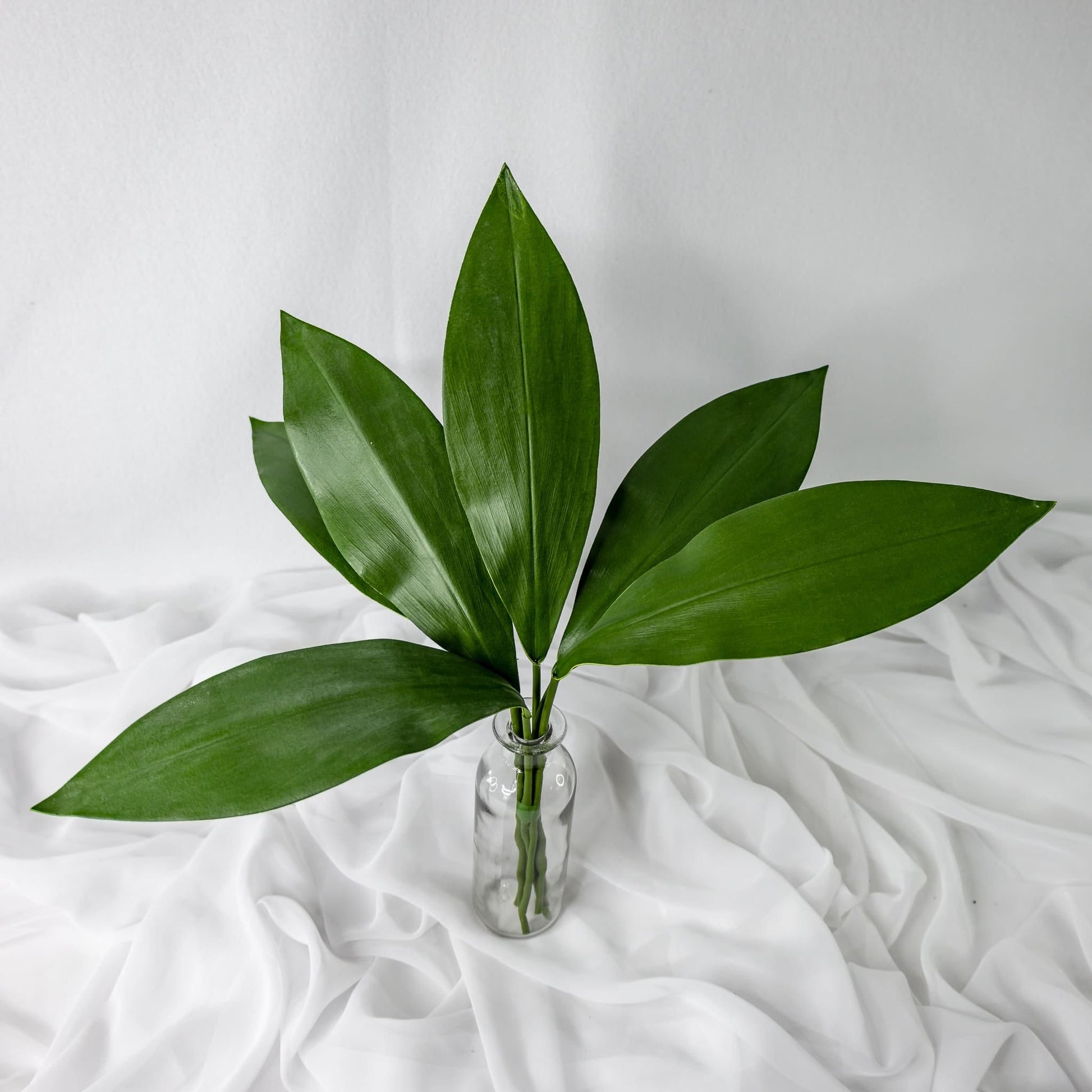 artificial small calla leaves placed in transparent glass vase